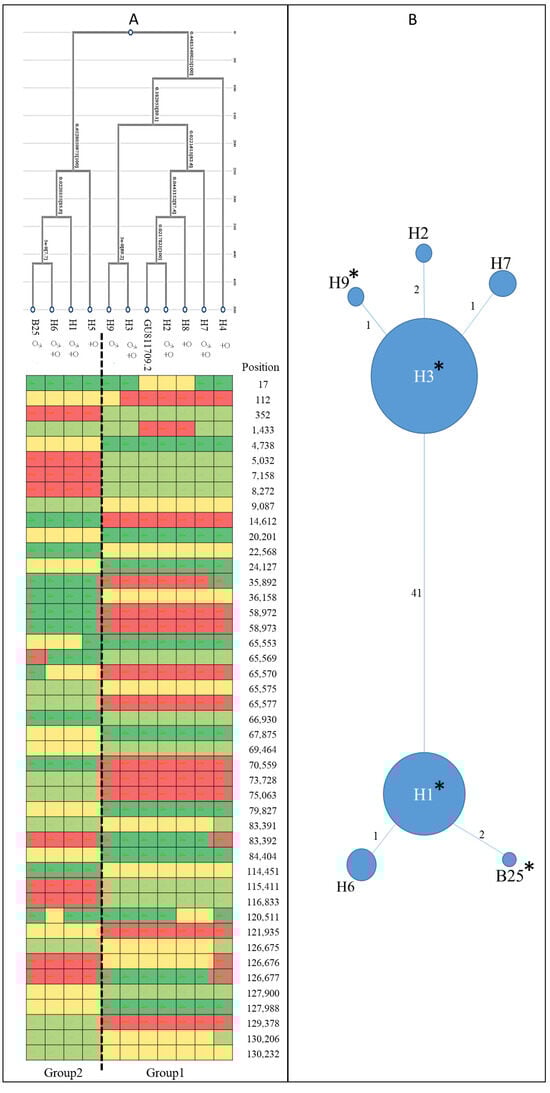 Horticulturae 11 00865 g001