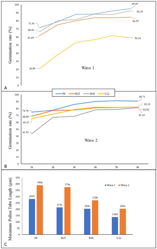 Horticulturae 11 00865 g002