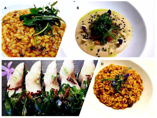 Horticulturae 11 00893 g008