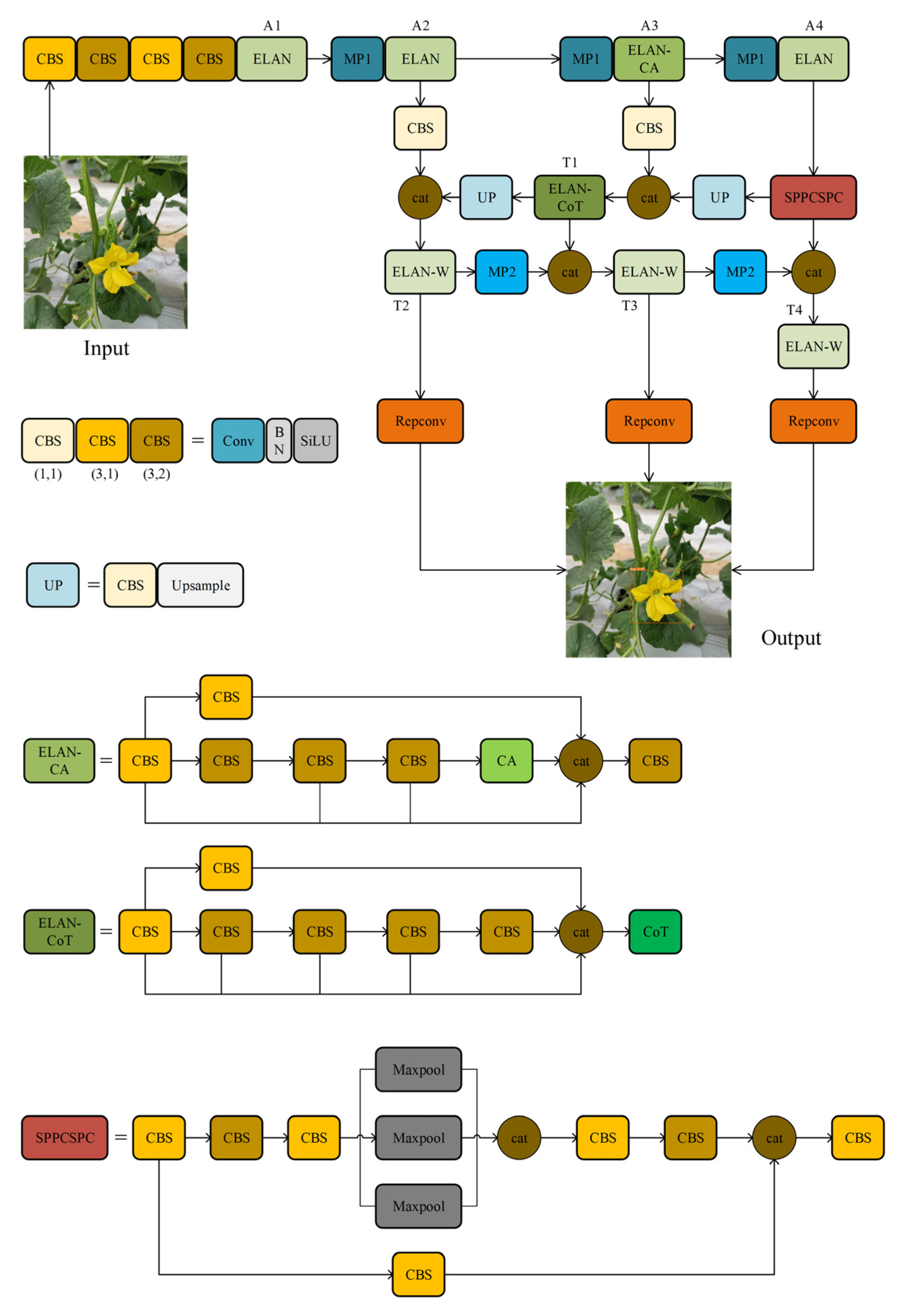Horticulturae 11 00905 g004