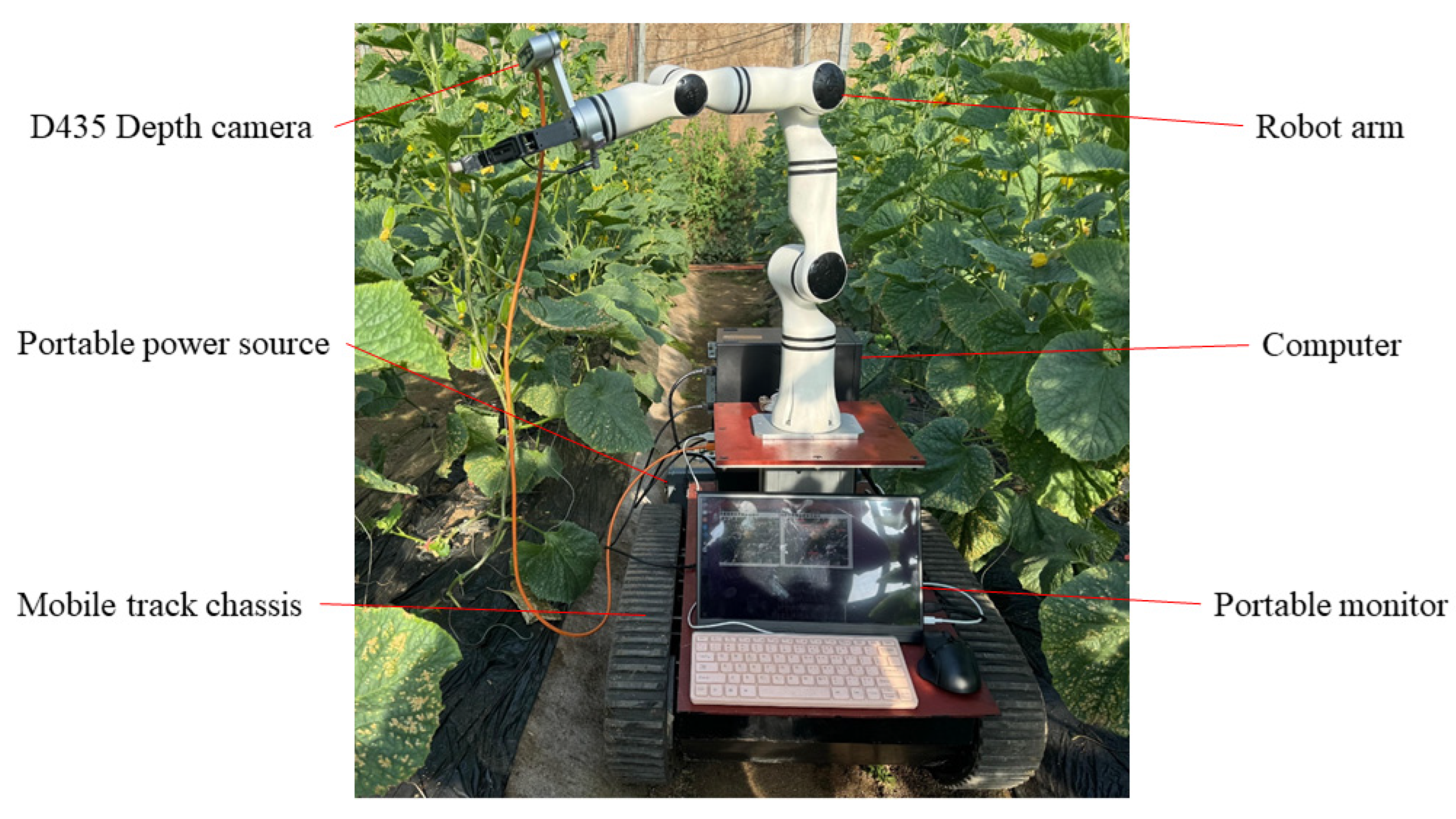 Horticulturae 11 00905 g005