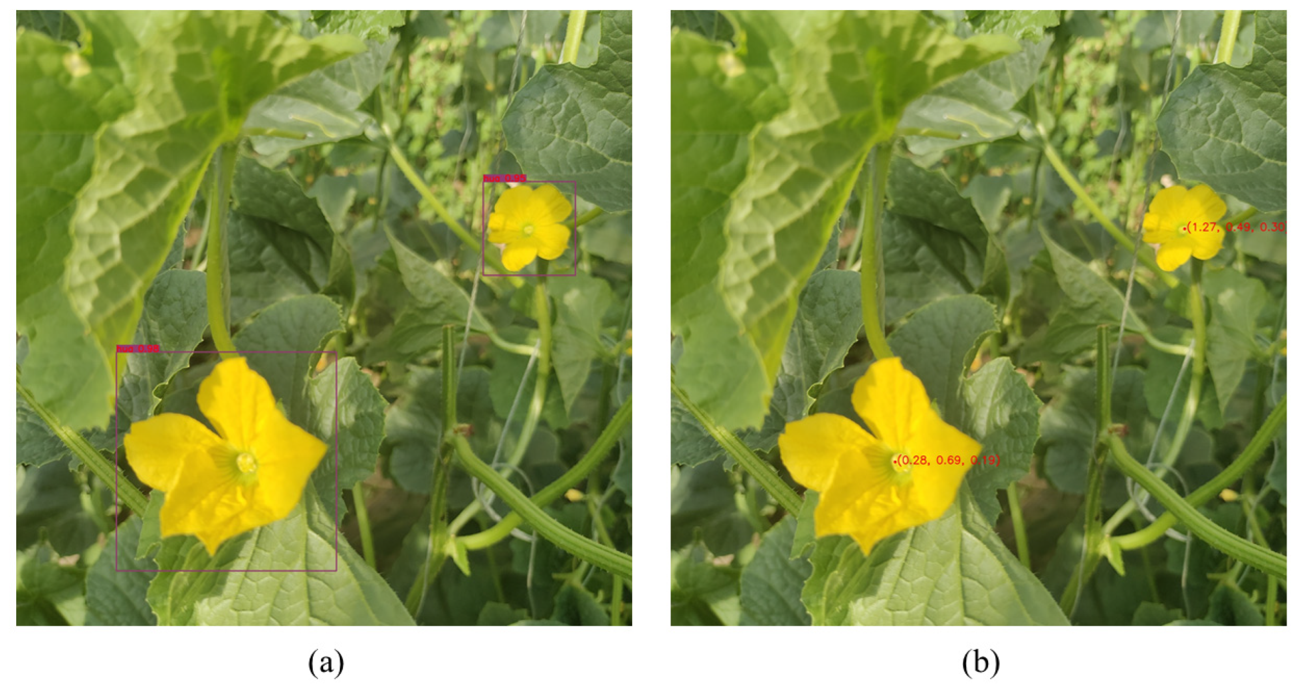 Horticulturae 11 00905 g014