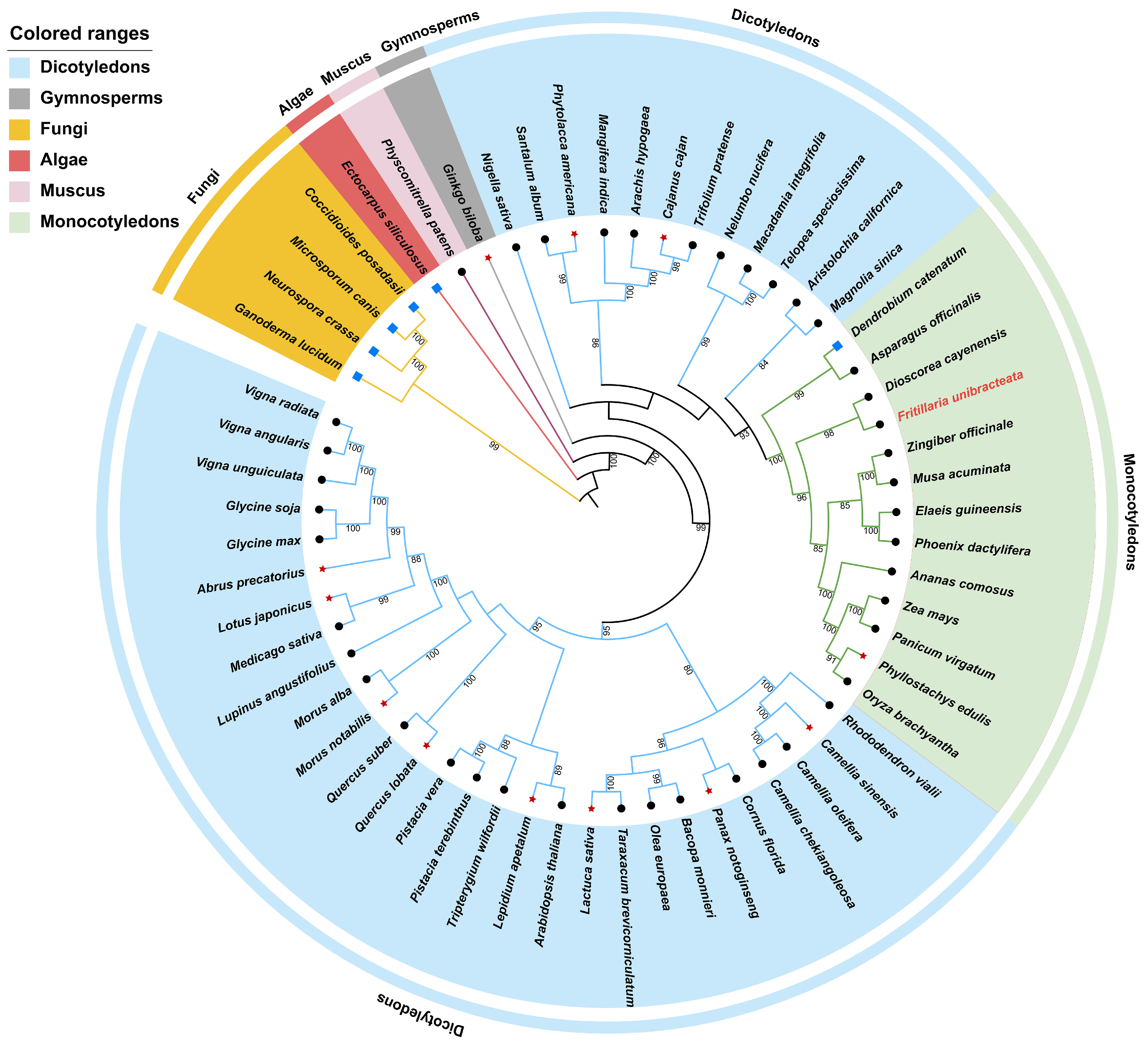 Horticulturae 11 00913 g001