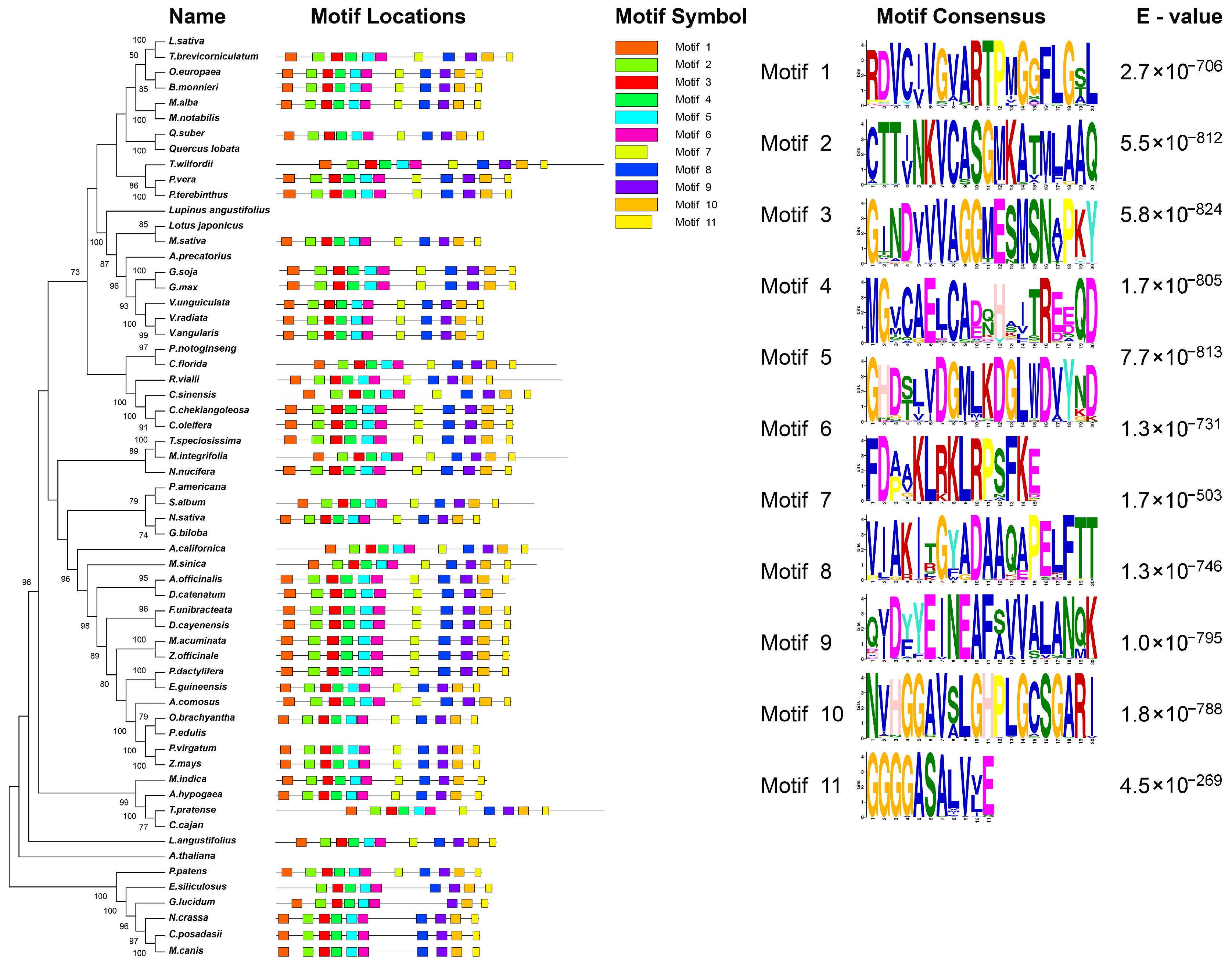 Horticulturae 11 00913 g002