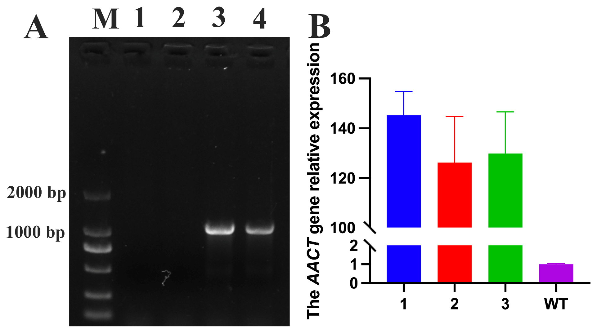 Horticulturae 11 00913 g007