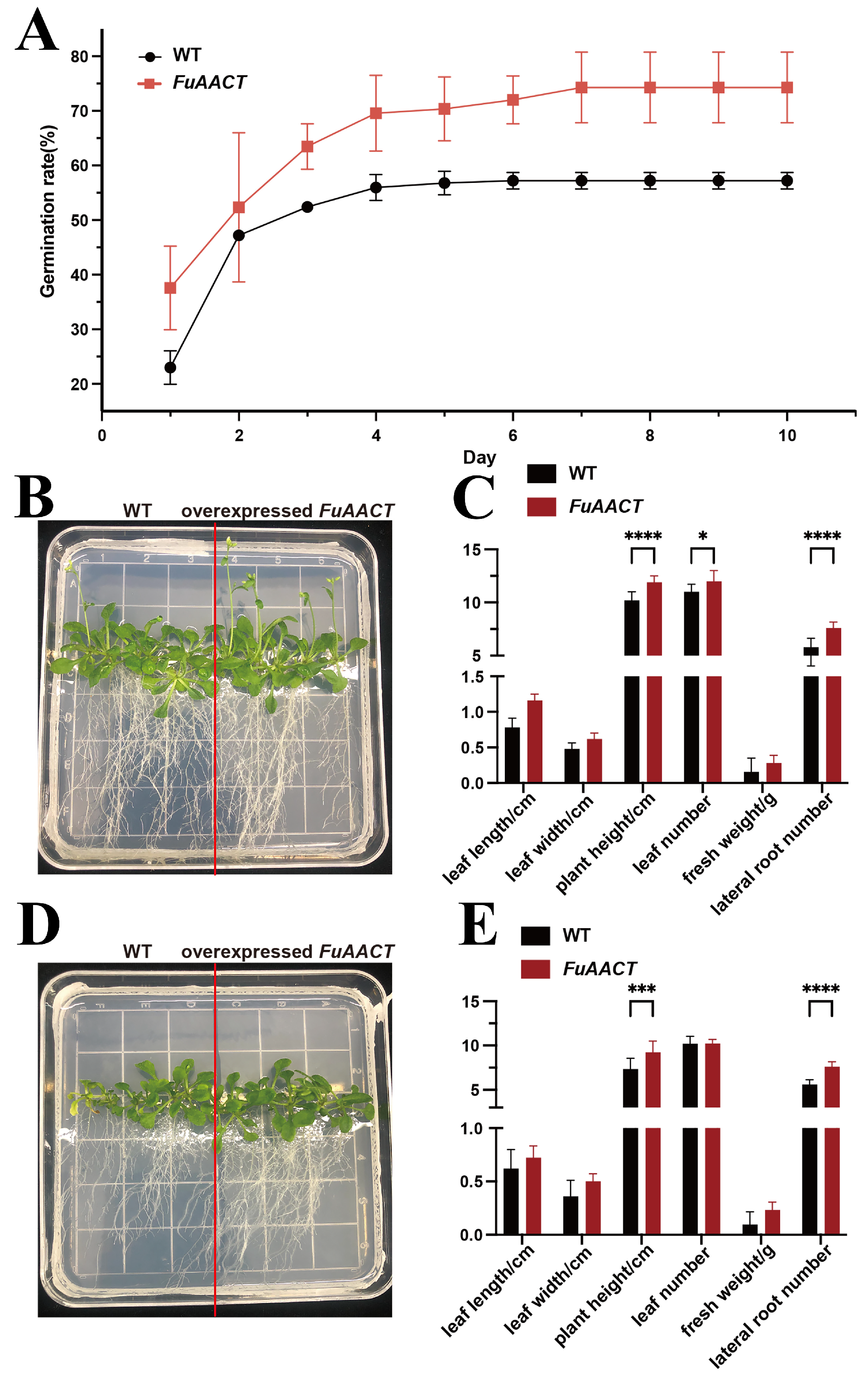 Horticulturae 11 00913 g008