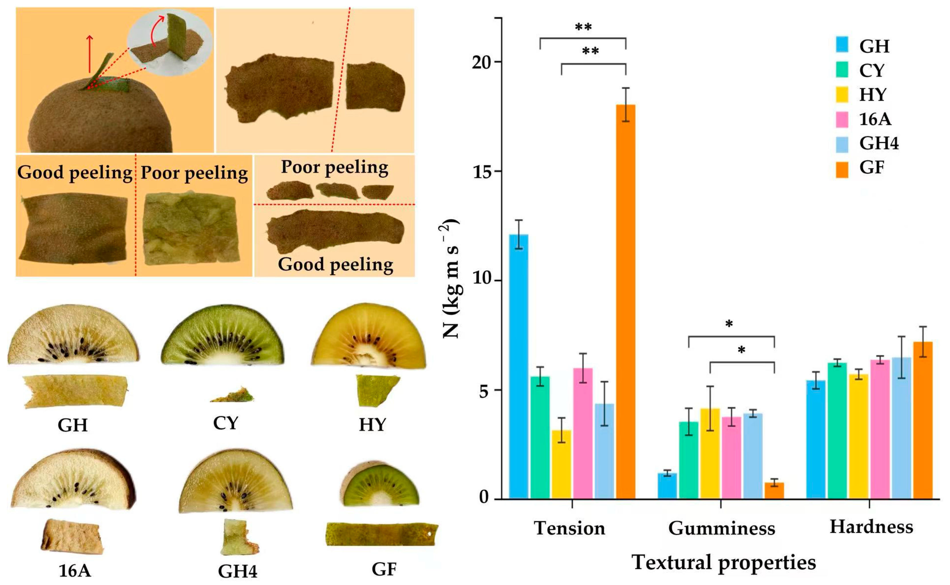 Horticulturae 11 00927 g001 Horticulturae 11 00927 g001