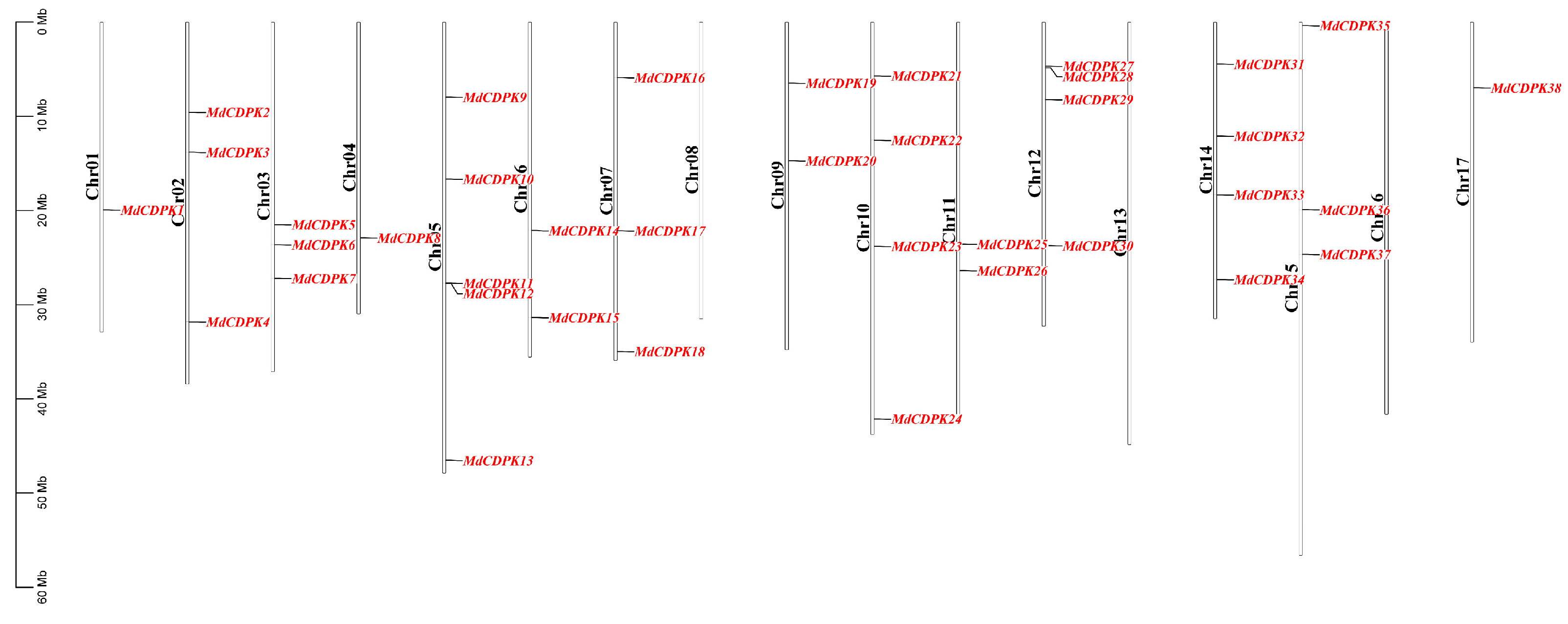 Horticulturae 11 00942 g001