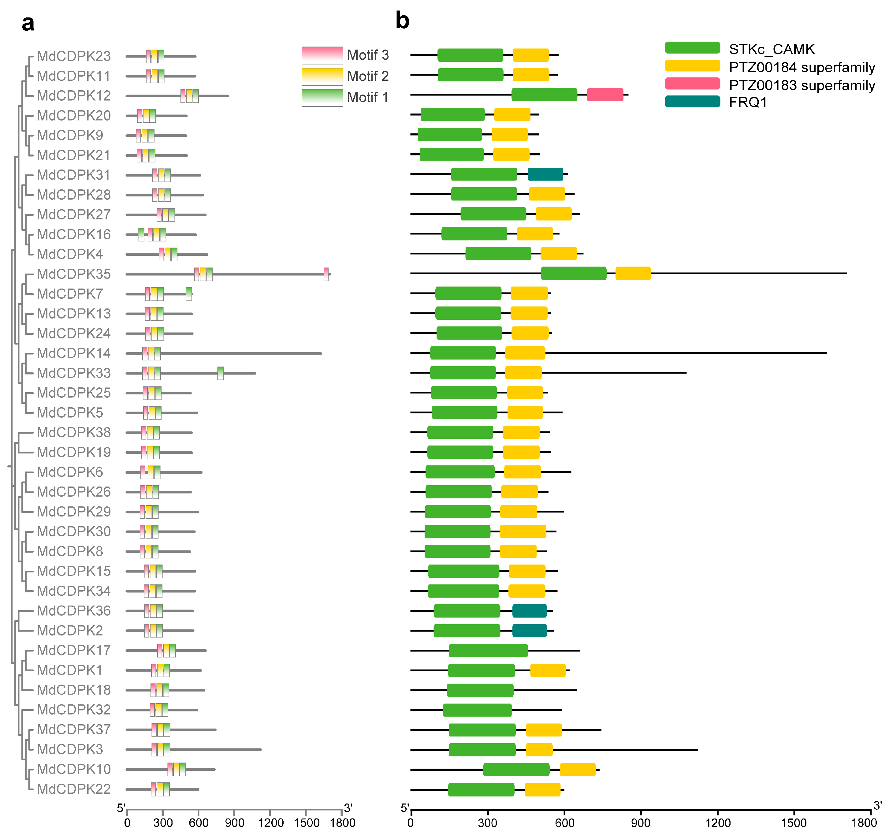 Horticulturae 11 00942 g003