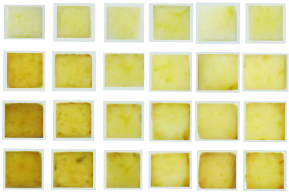 Horticulturae 11 00953 i006 Horticulturae 11 00953 i006