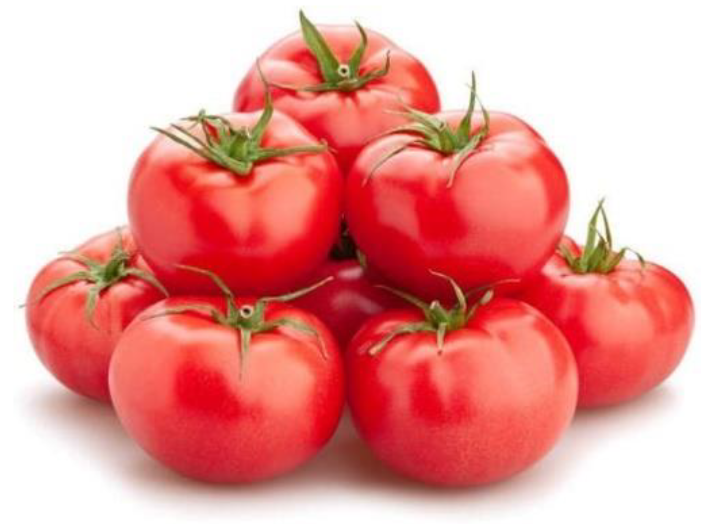 Horticulturae 11 00971 g001 Horticulturae 11 00971 g001