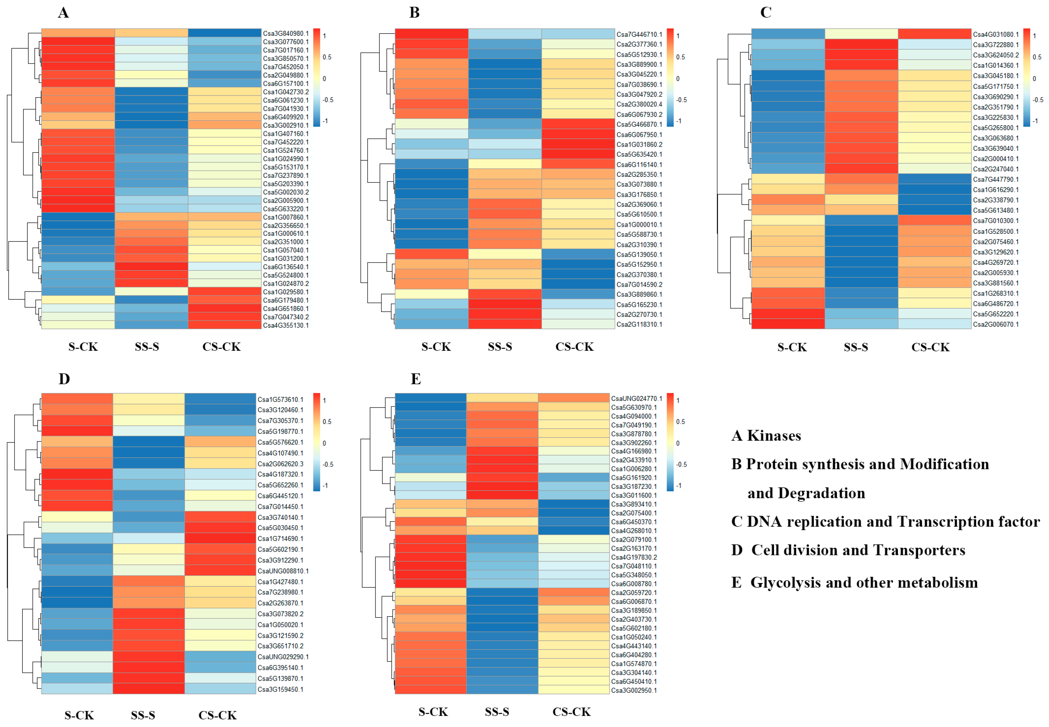 Horticulturae 11 00973 g002