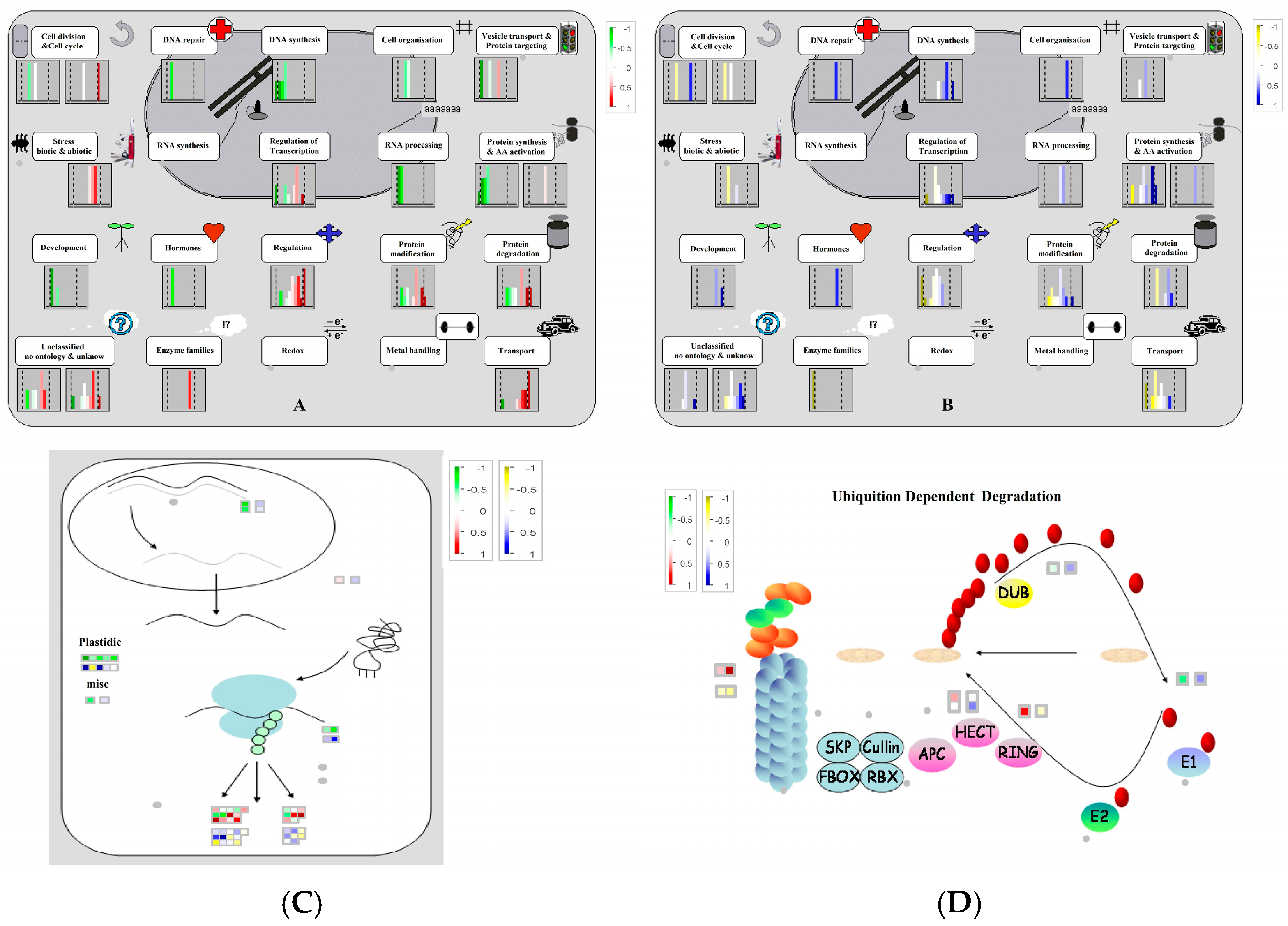 Horticulturae 11 00973 g005