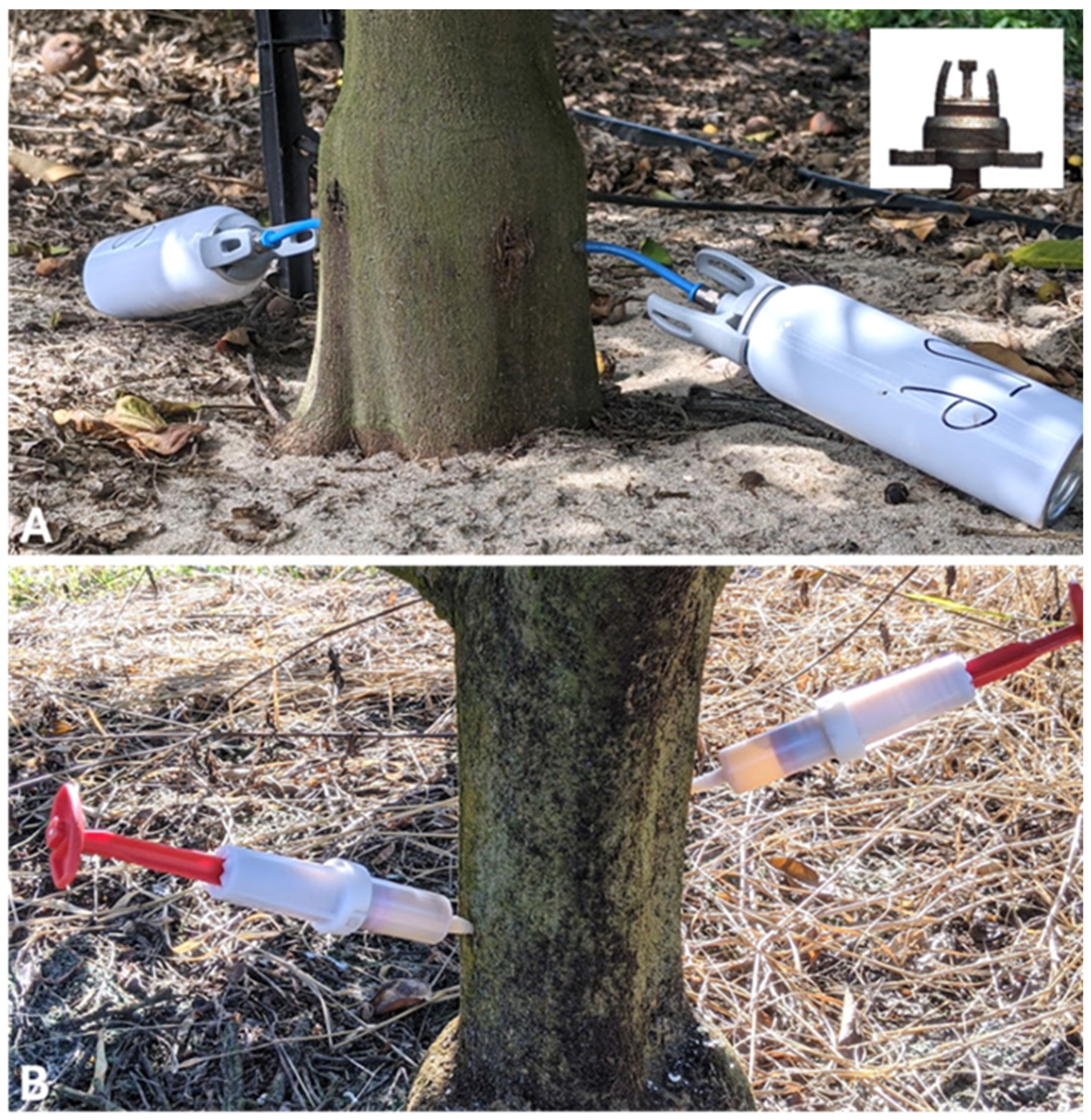 Horticulturae 11 00976 g001