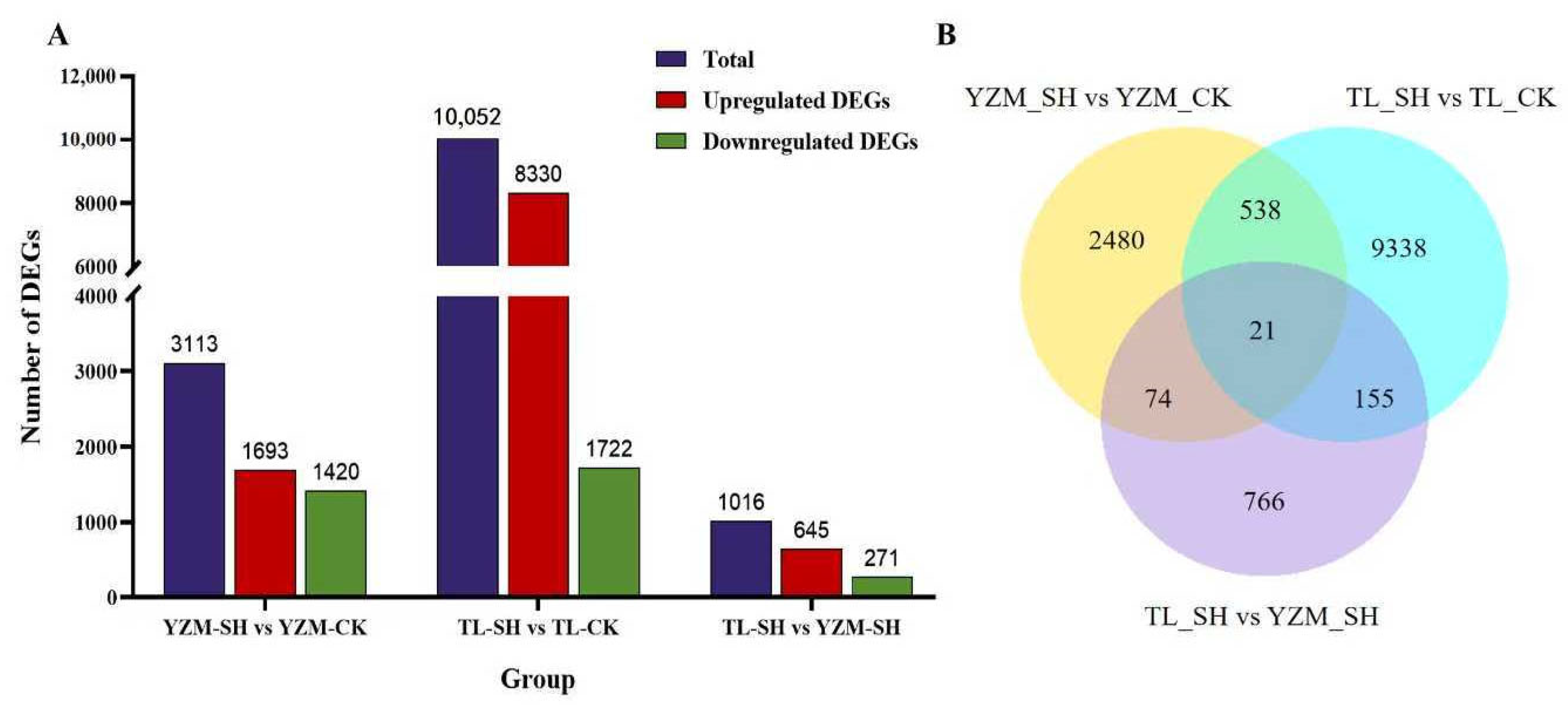 Horticulturae 11 01005 g001
