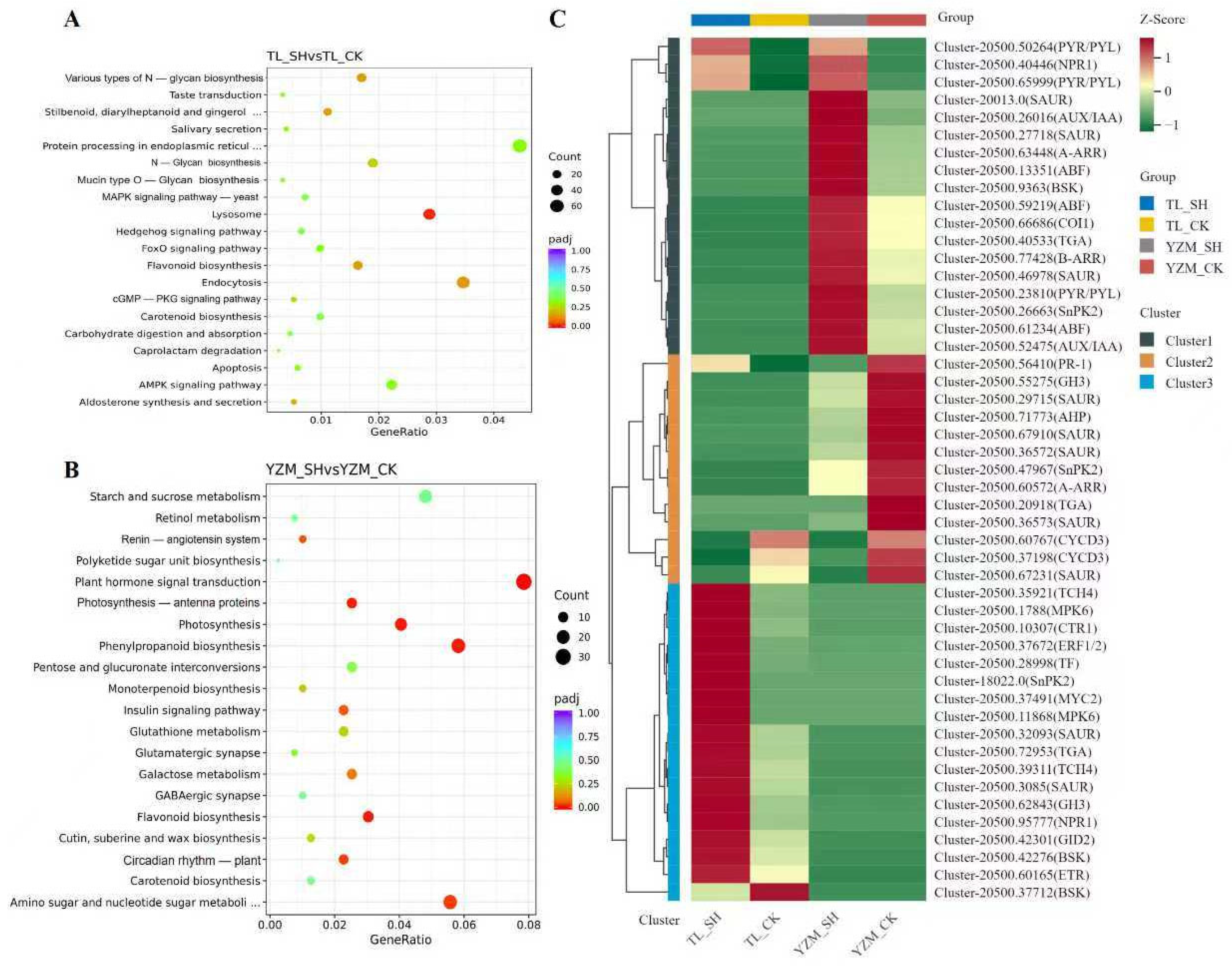 Horticulturae 11 01005 g002