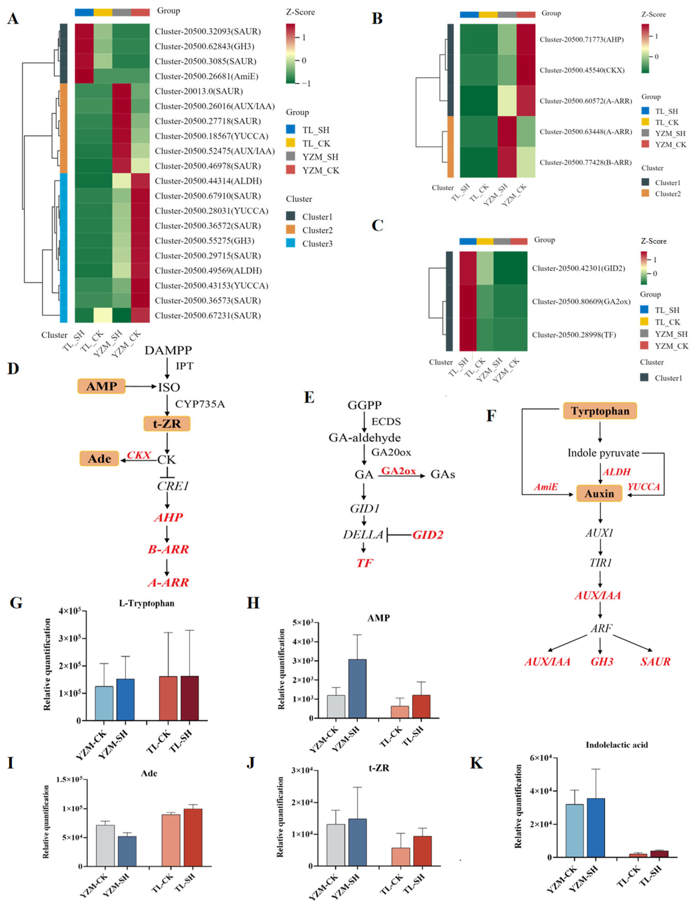 Horticulturae 11 01005 g004