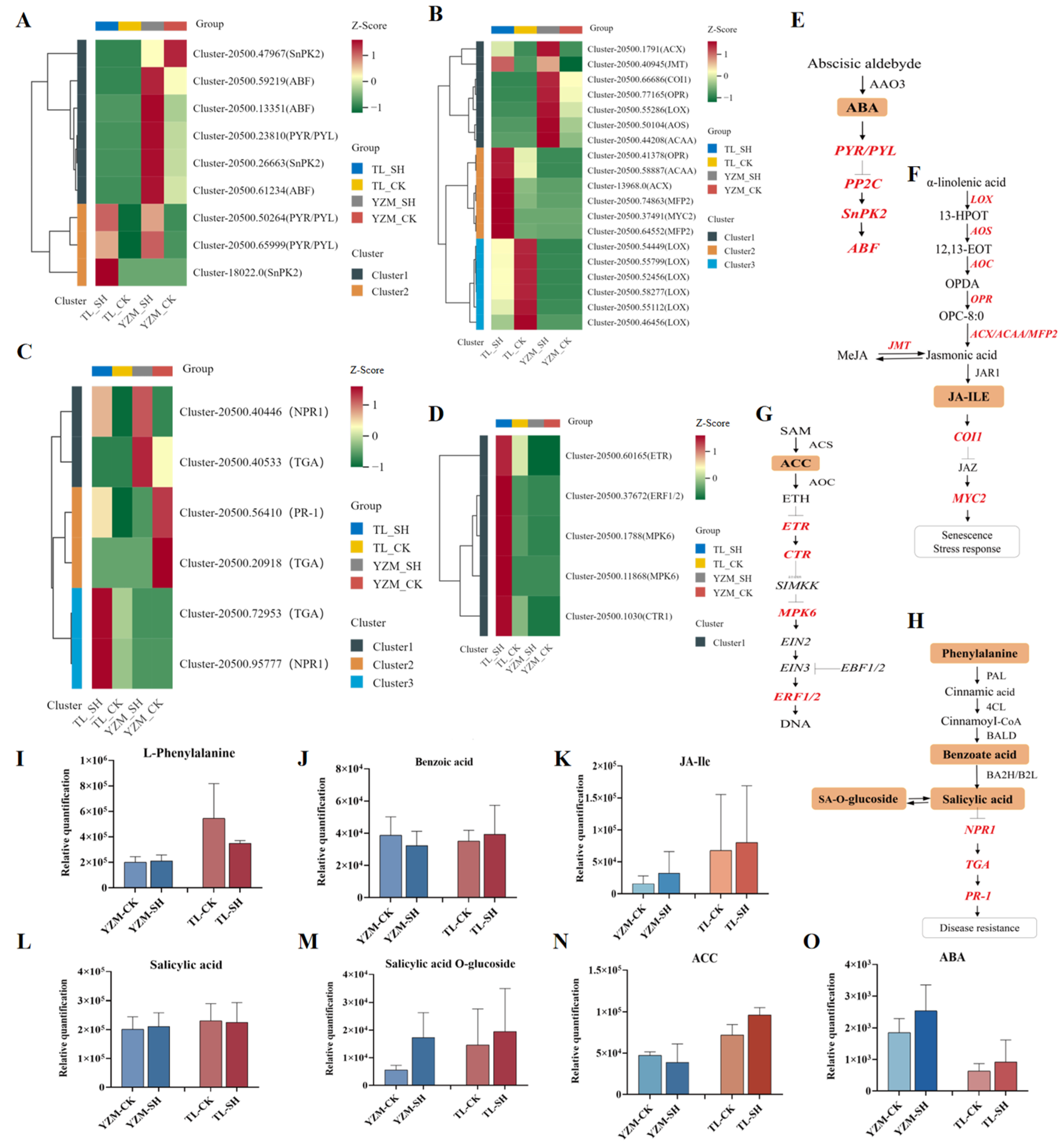 Horticulturae 11 01005 g005