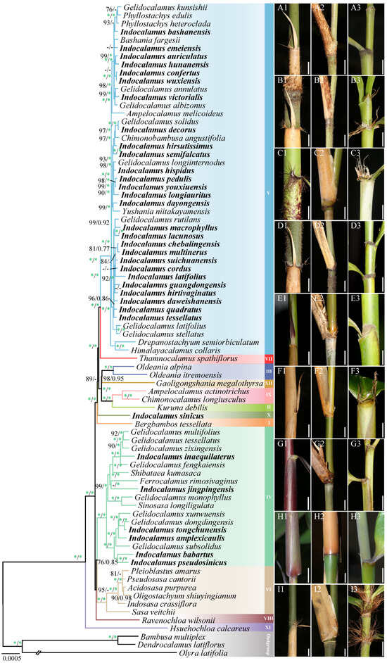 Horticulturae 11 01018 g002