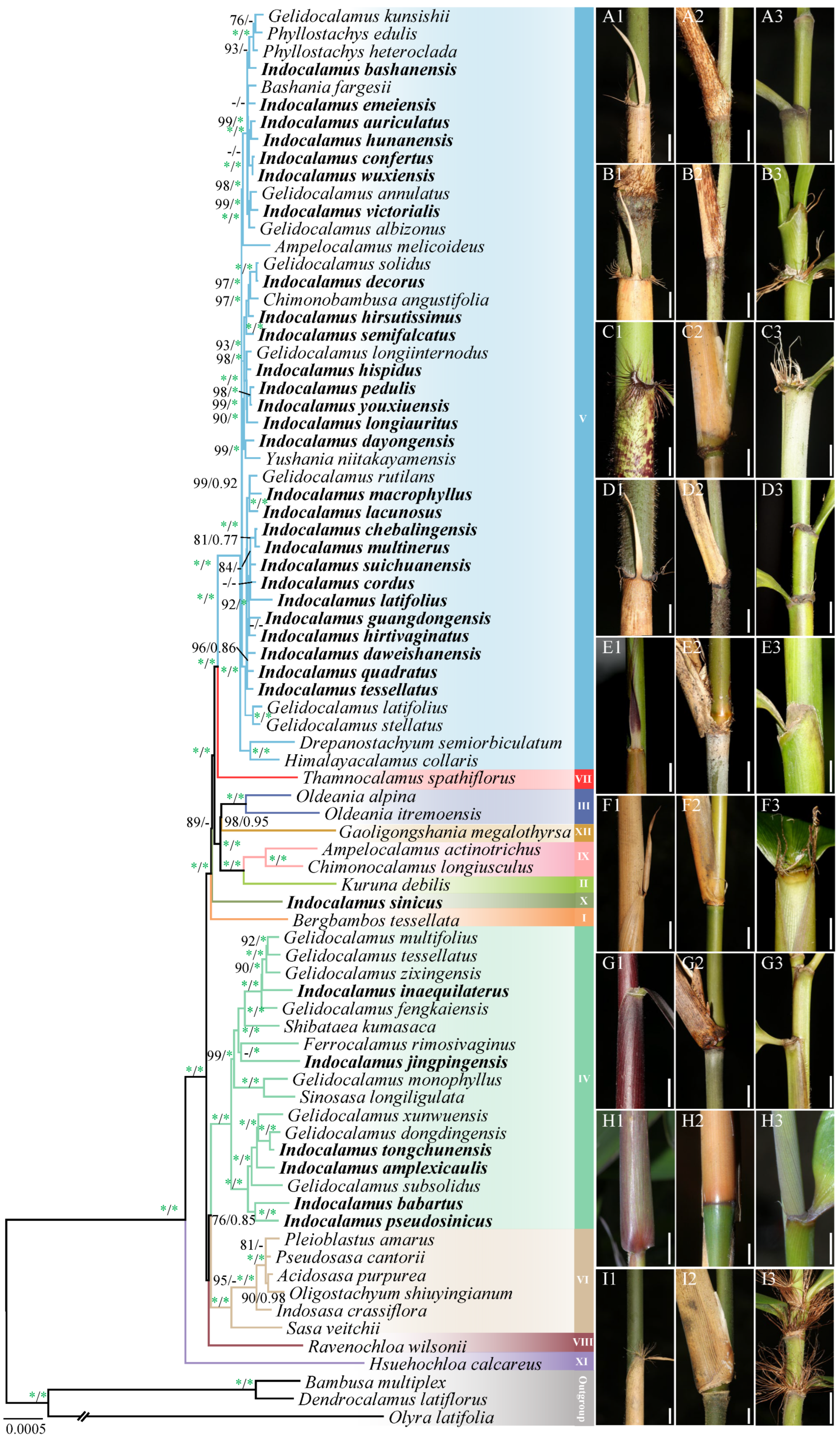 Horticulturae 11 01018 g002