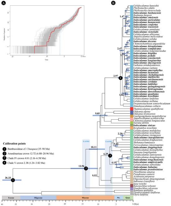 Horticulturae 11 01018 g003