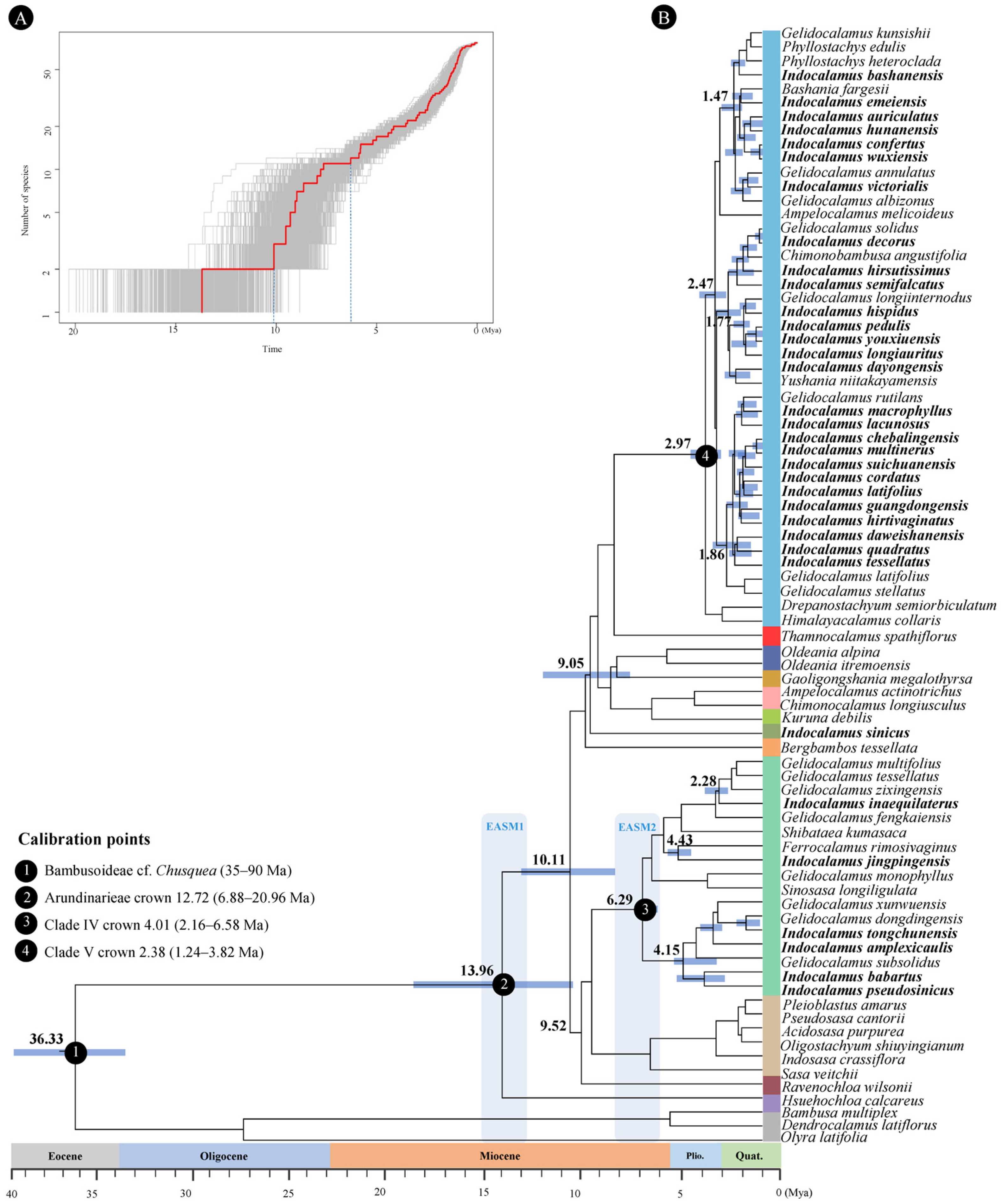 Horticulturae 11 01018 g003