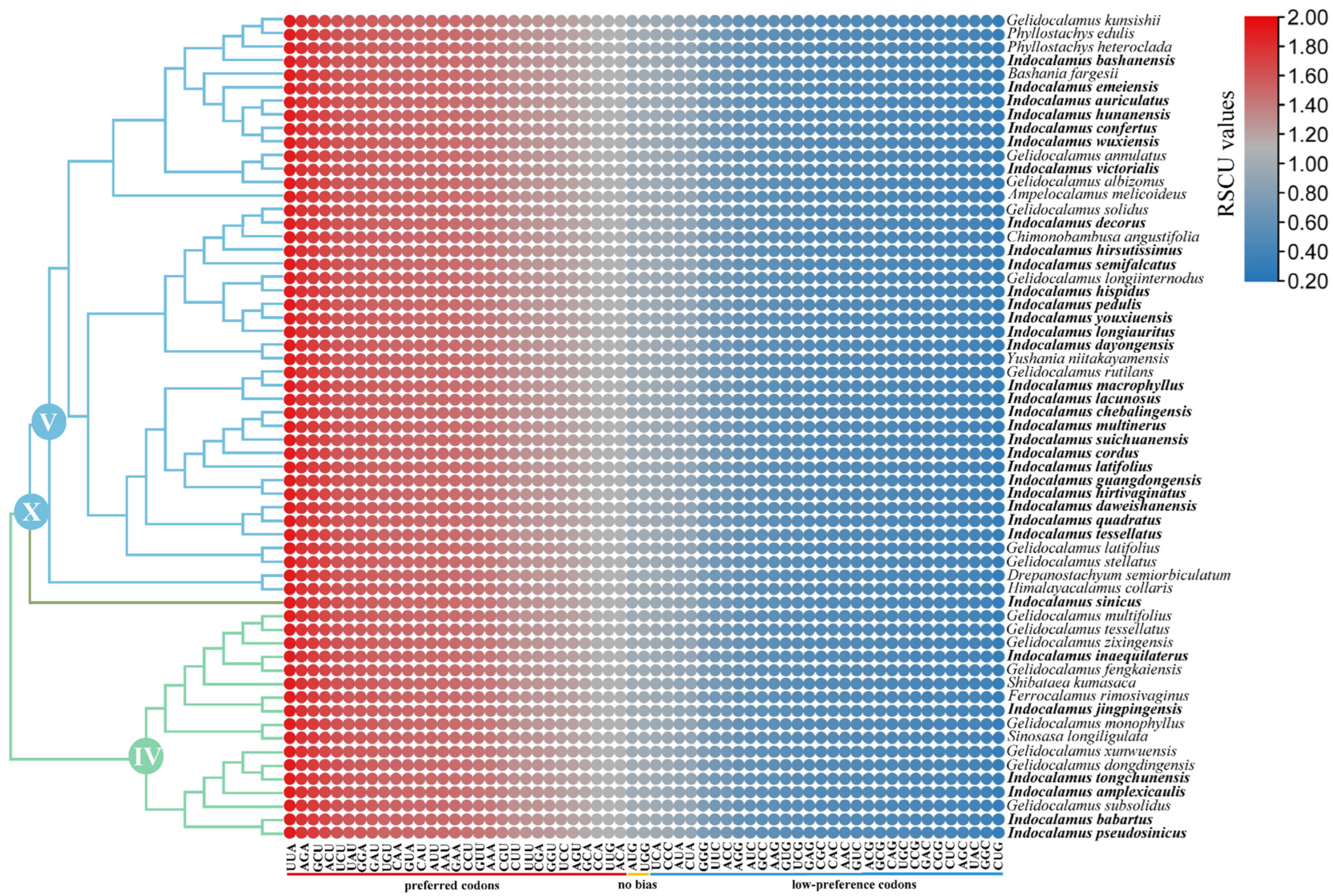 Horticulturae 11 01018 g006