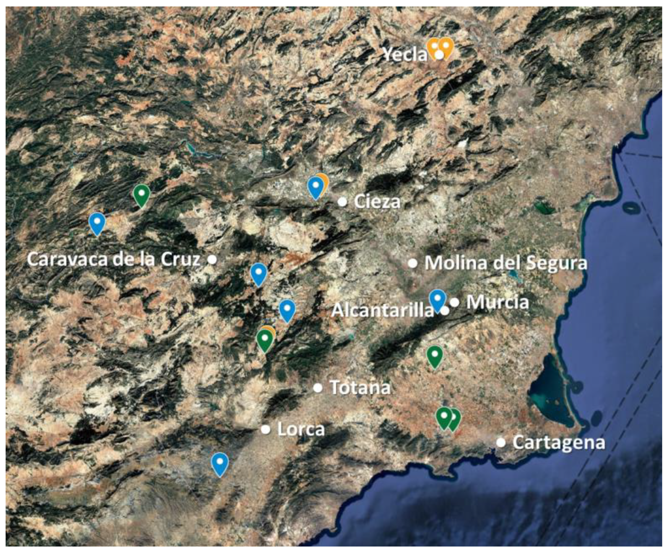 Horticulturae 11 01021 g002