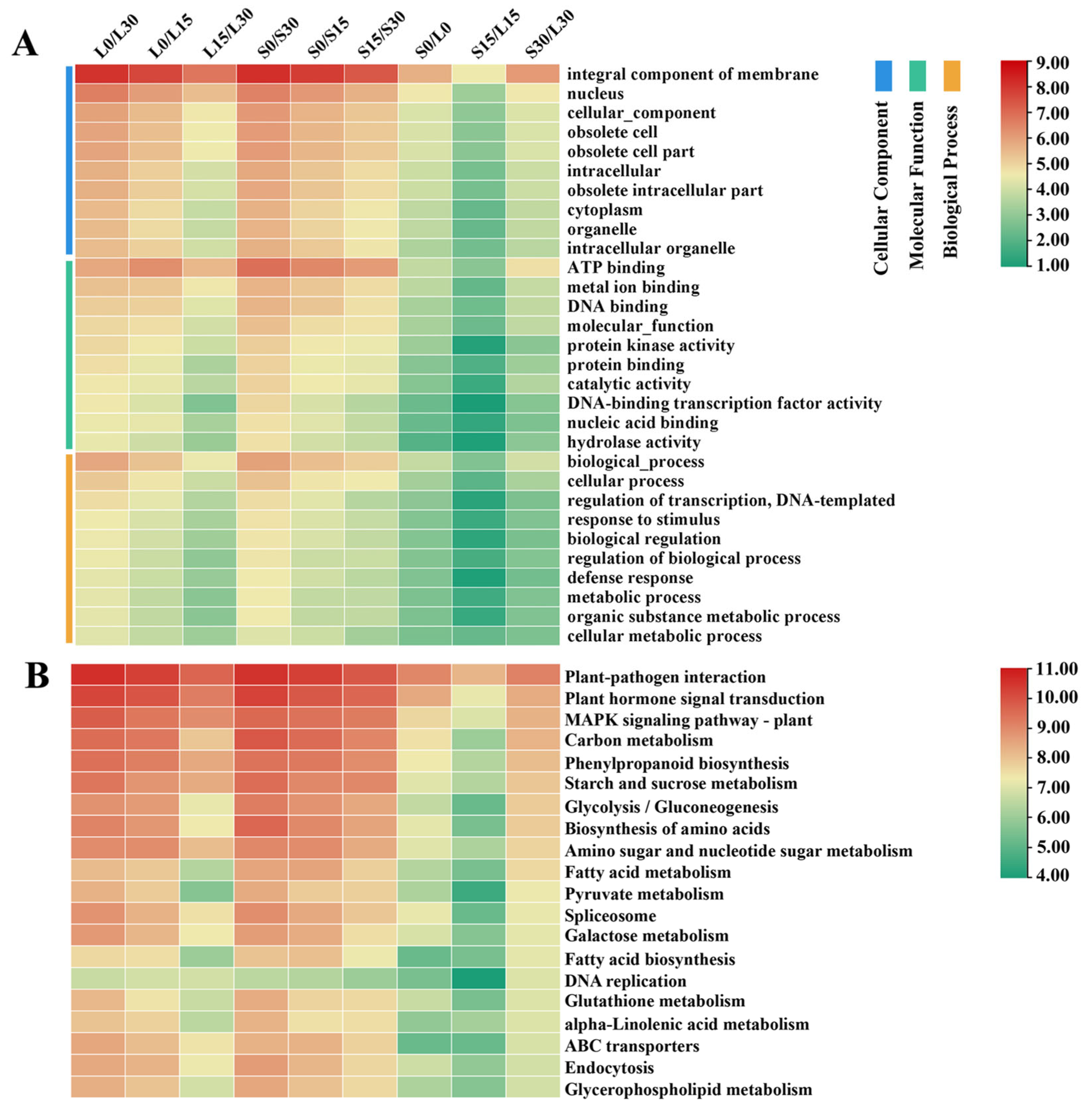 Horticulturae 11 01025 g003