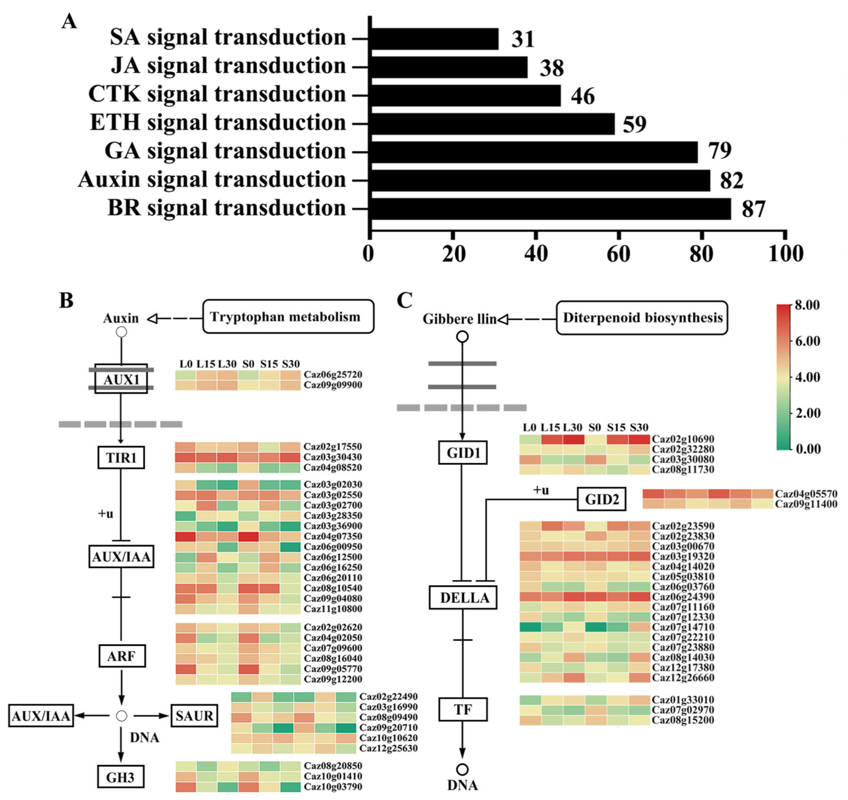 Horticulturae 11 01025 g005