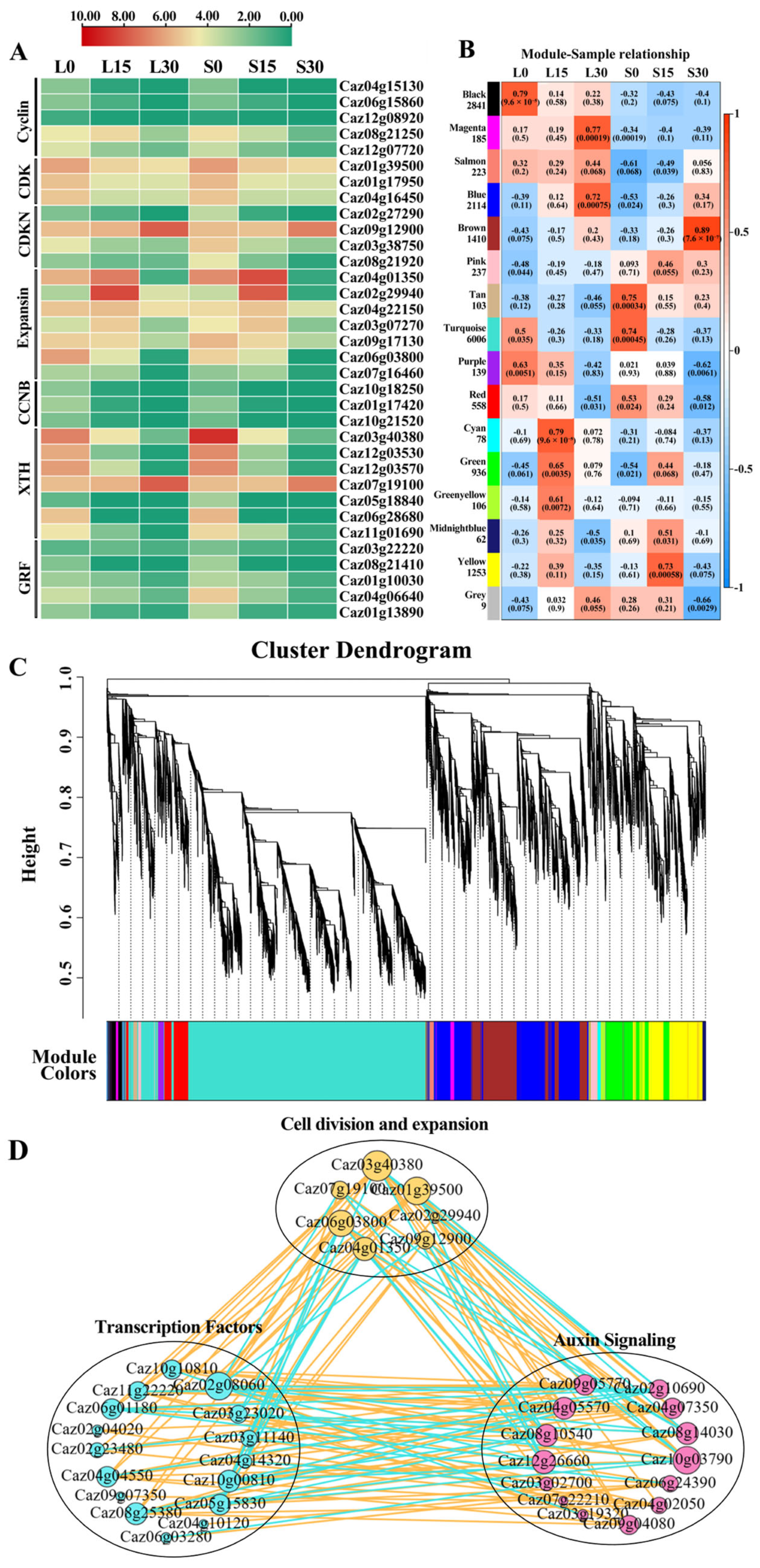 Horticulturae 11 01025 g006