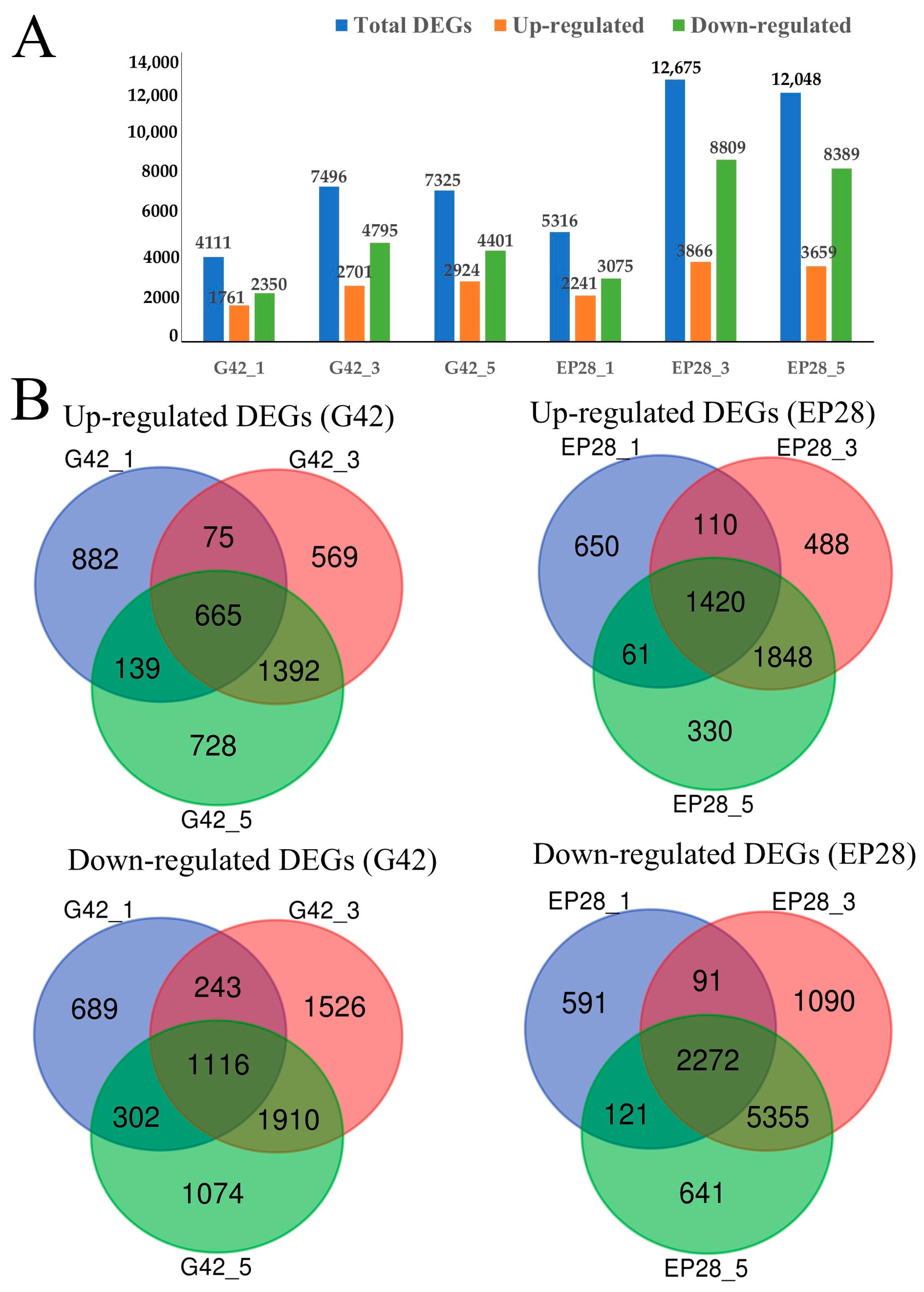 Horticulturae 11 01026 g002