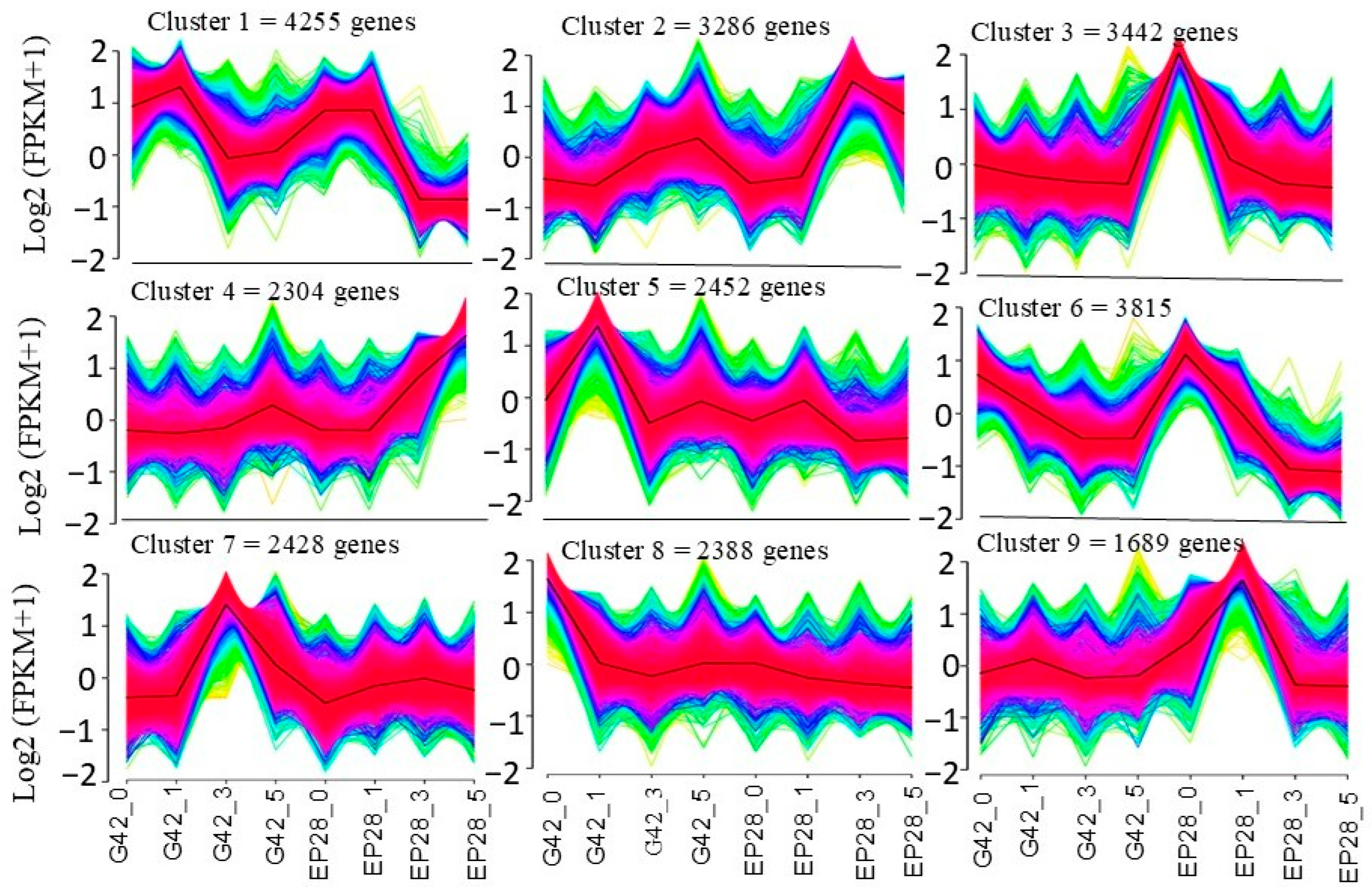 Horticulturae 11 01026 g003
