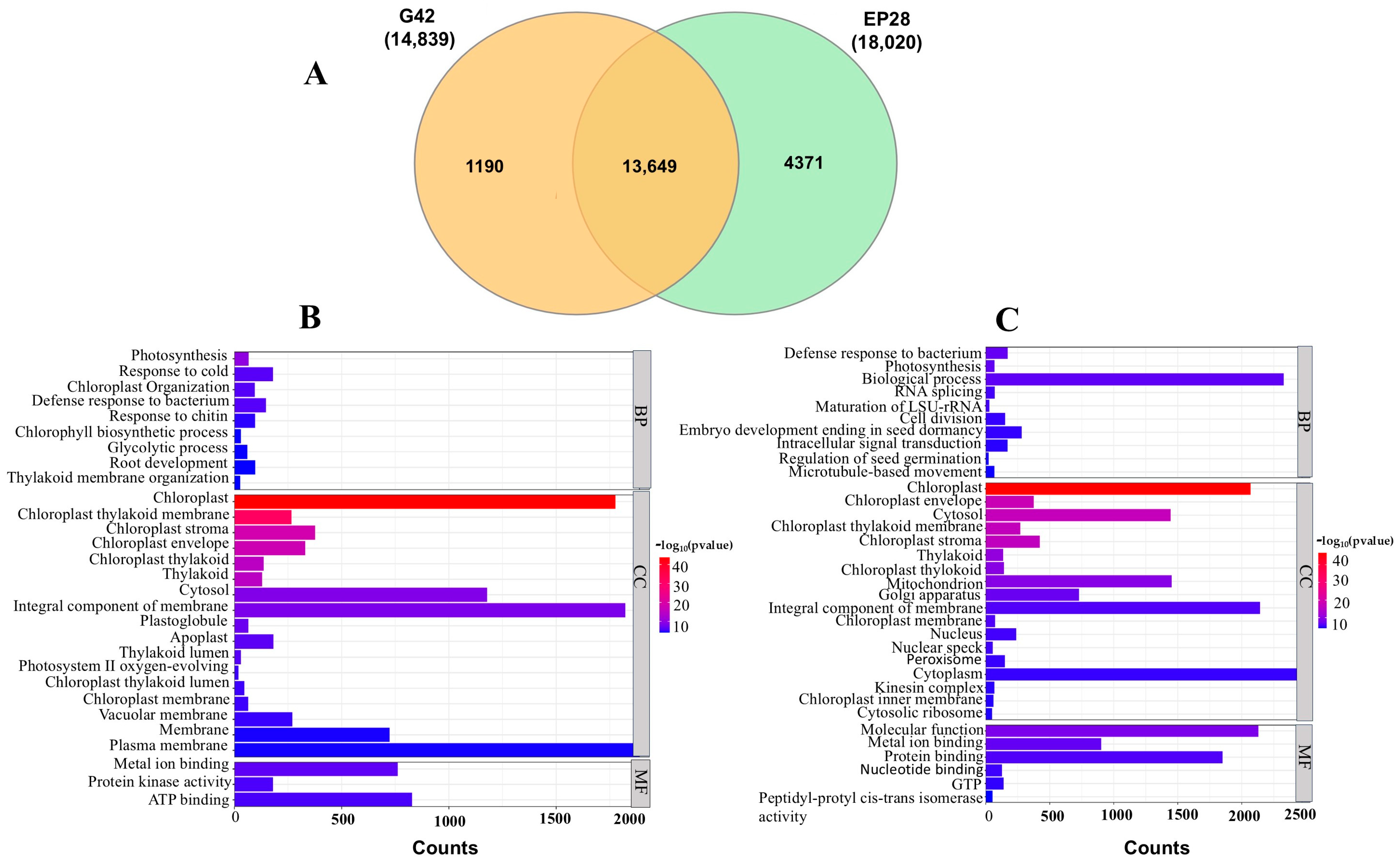 Horticulturae 11 01026 g004