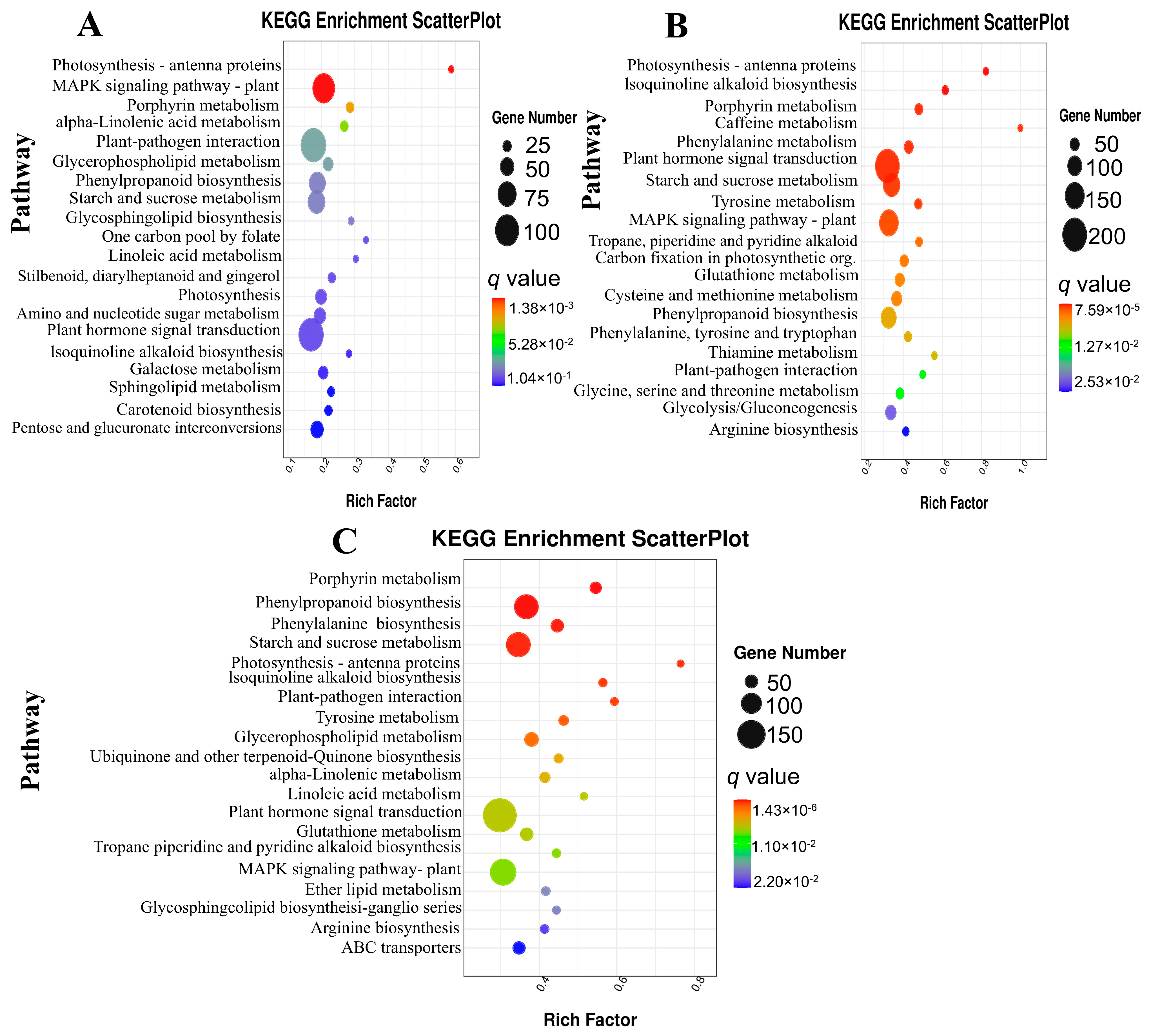 Horticulturae 11 01026 g005