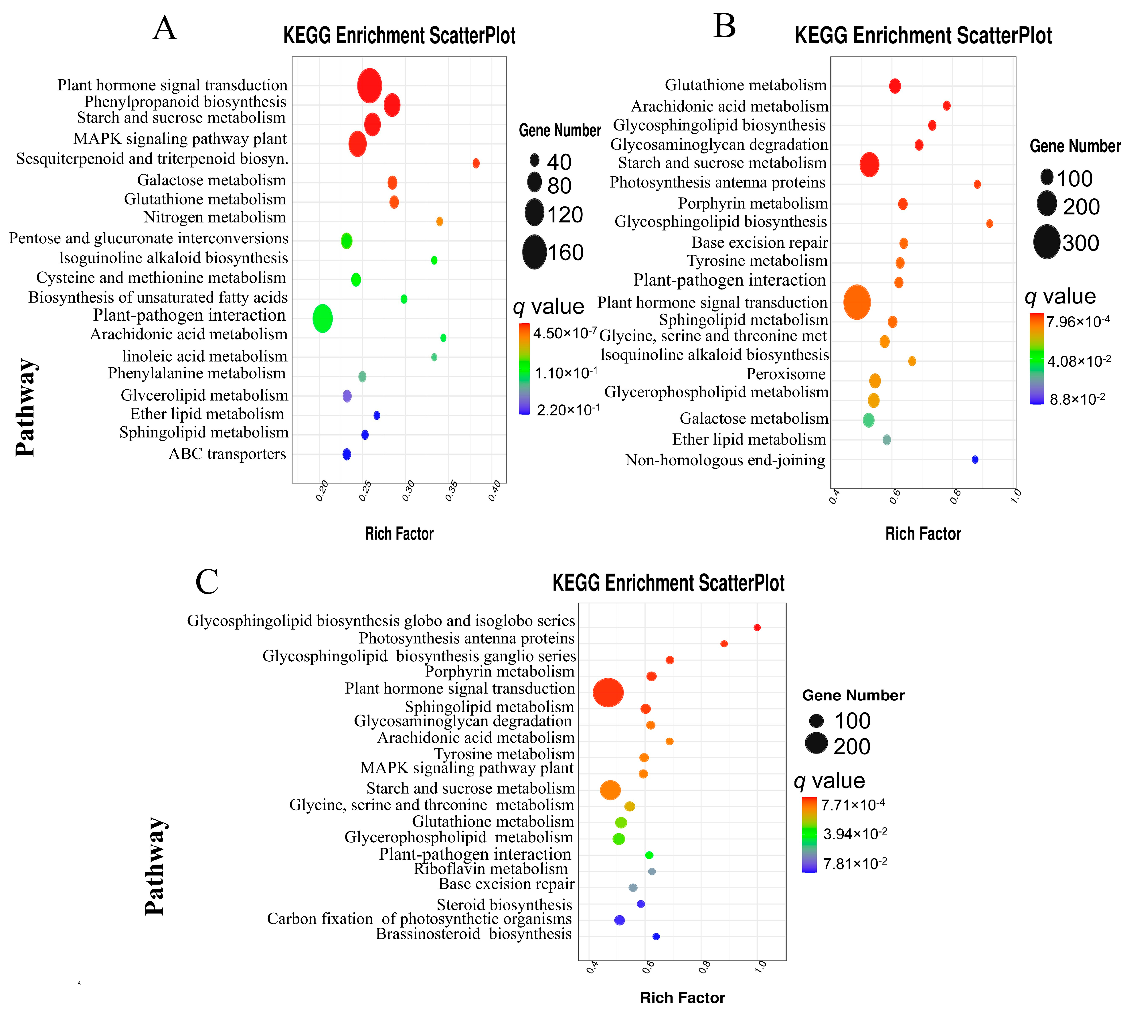 Horticulturae 11 01026 g006
