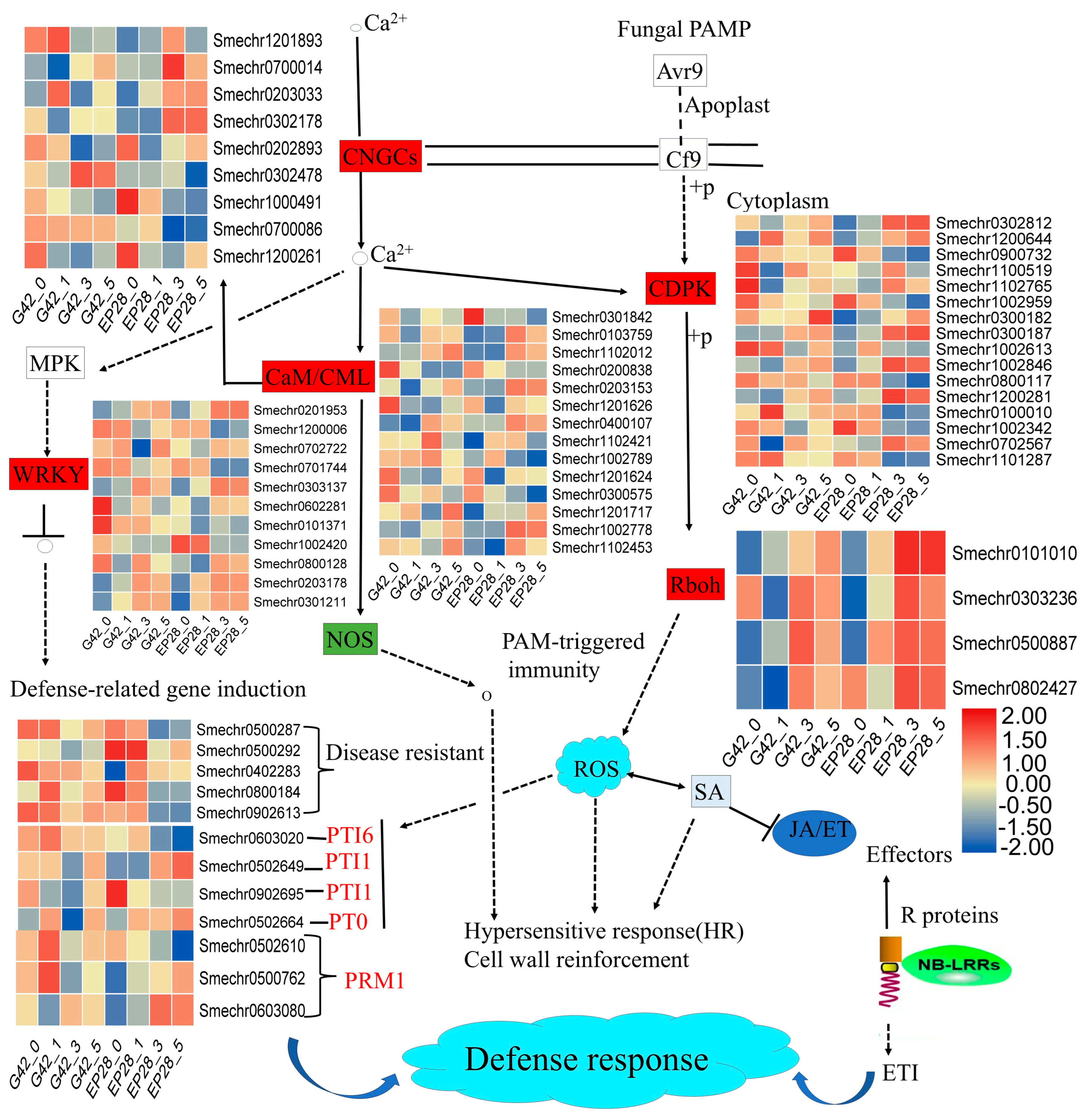 Horticulturae 11 01026 g007