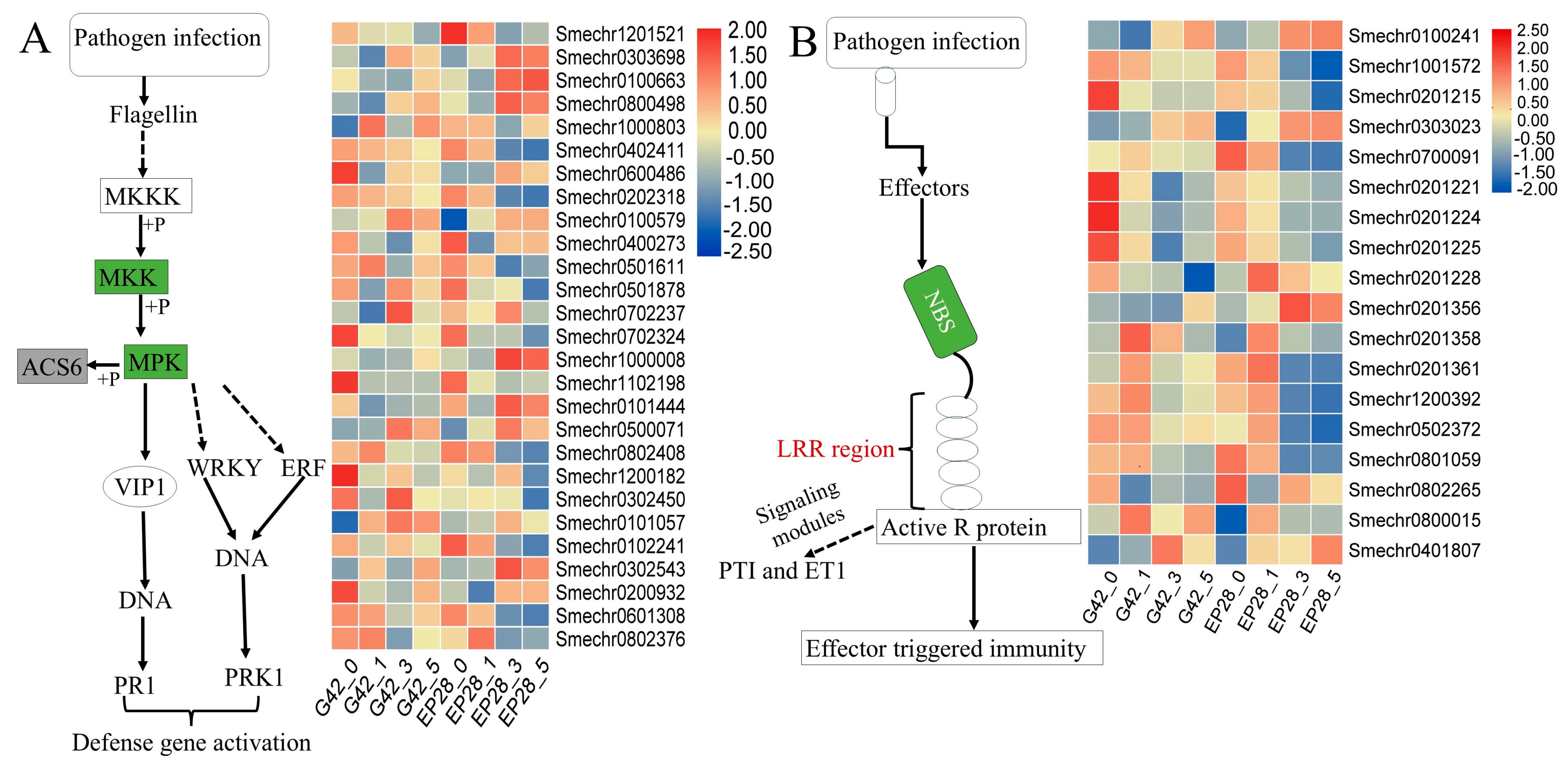 Horticulturae 11 01026 g008
