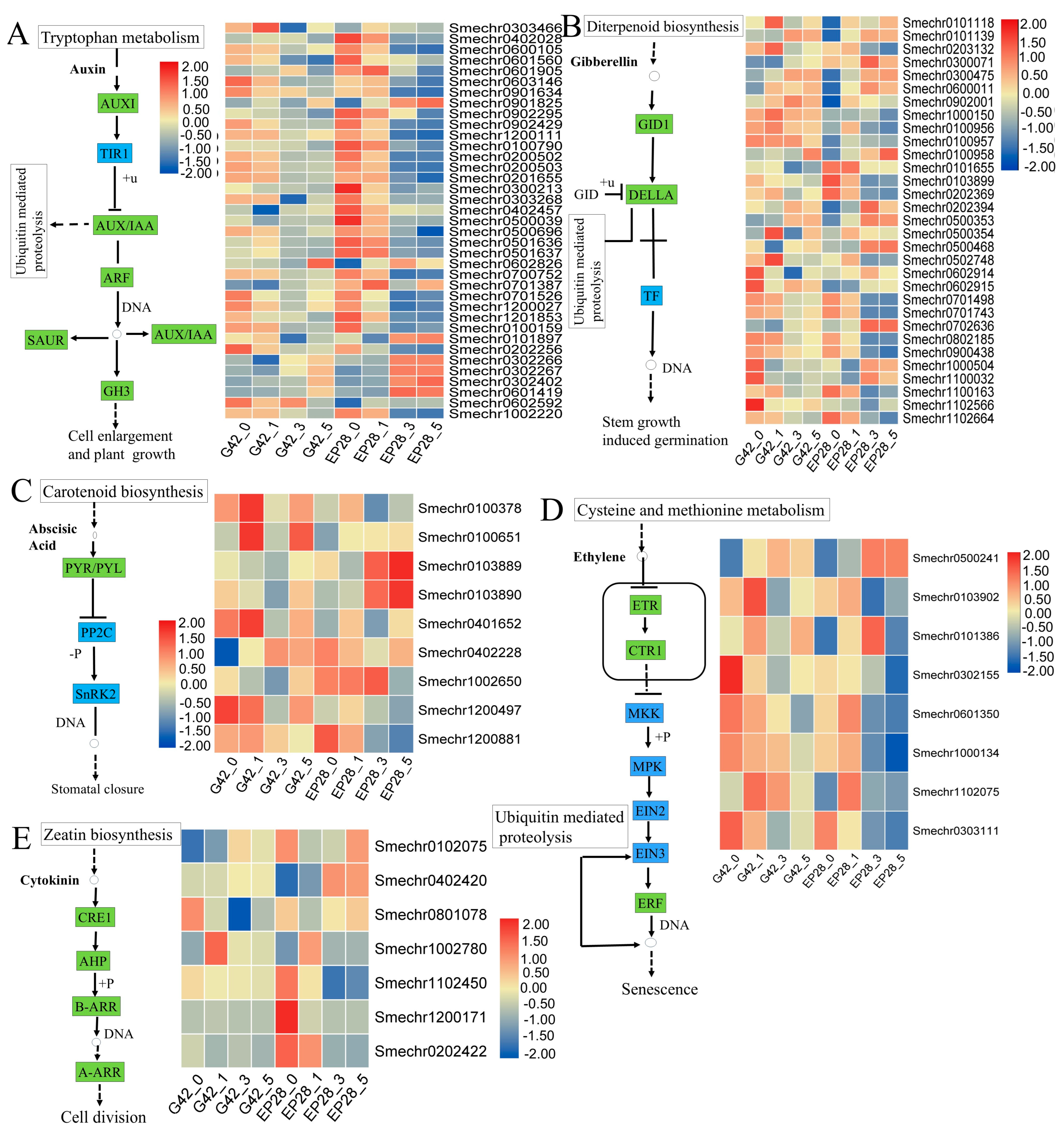 Horticulturae 11 01026 g009