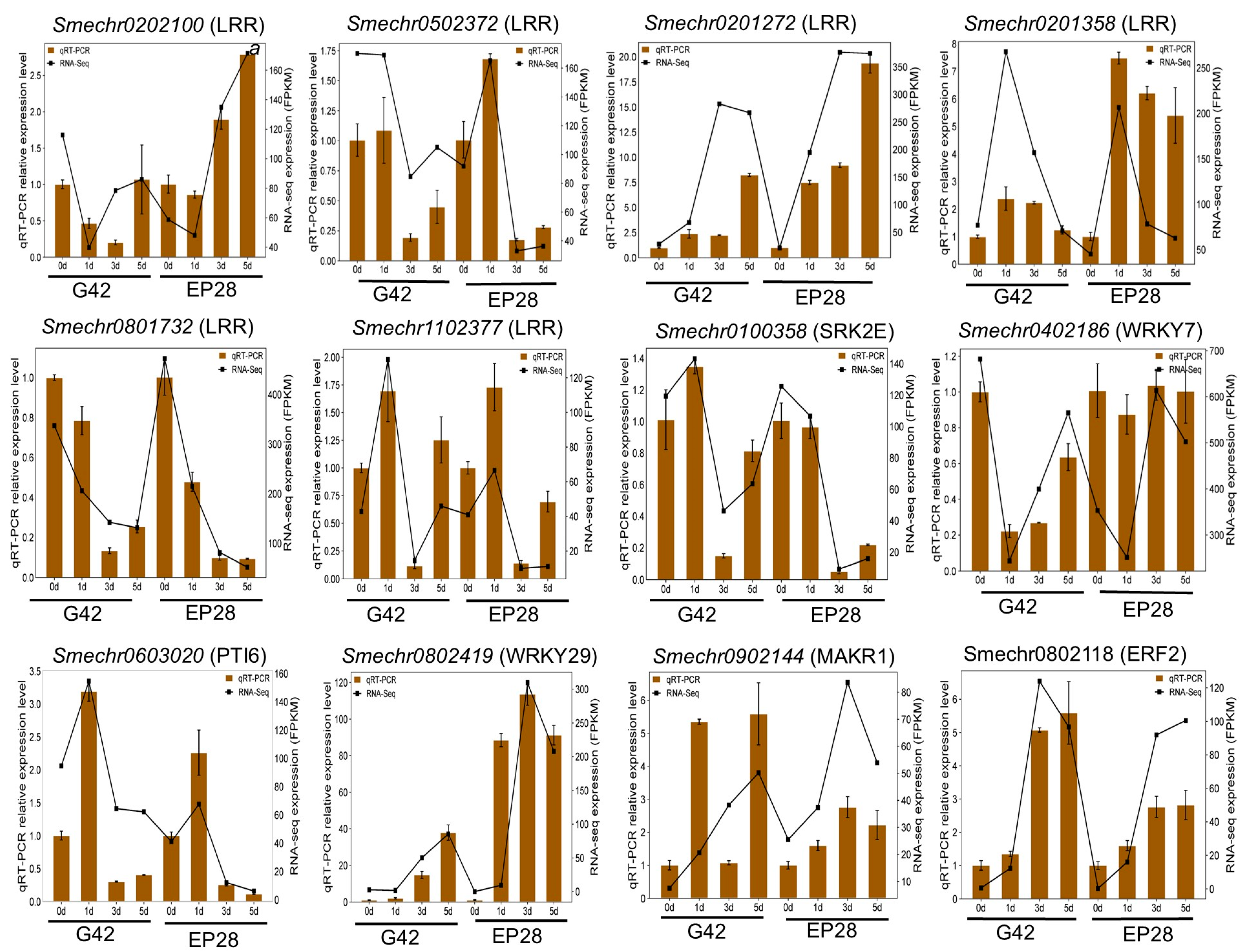 Horticulturae 11 01026 g011