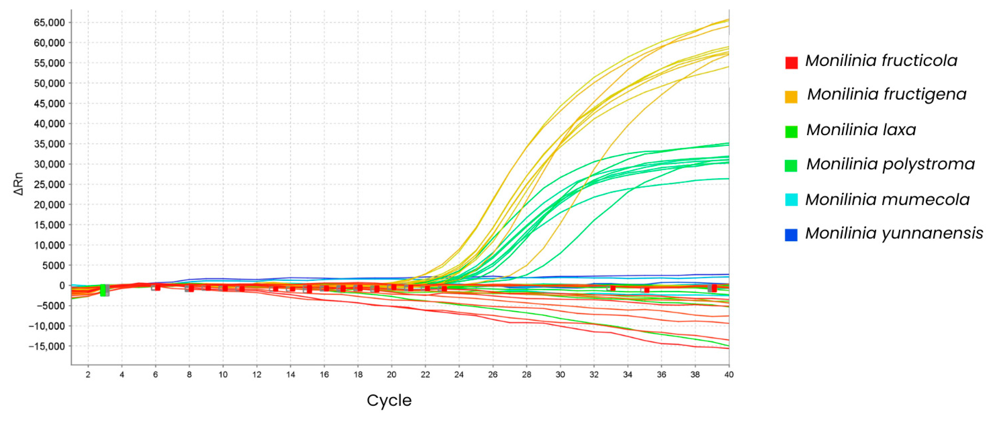 Horticulturae 11 01029 g003