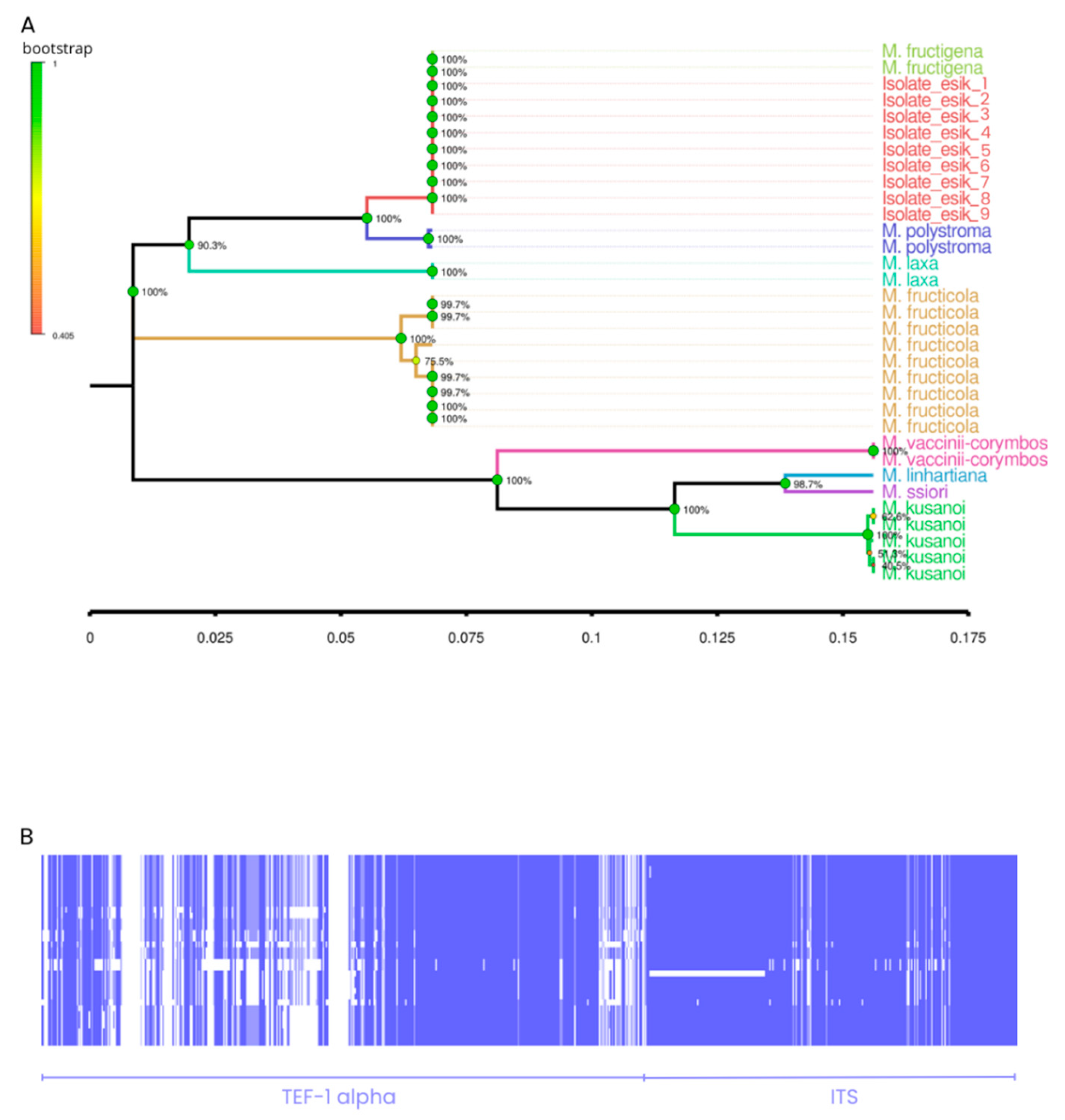 Horticulturae 11 01029 g004