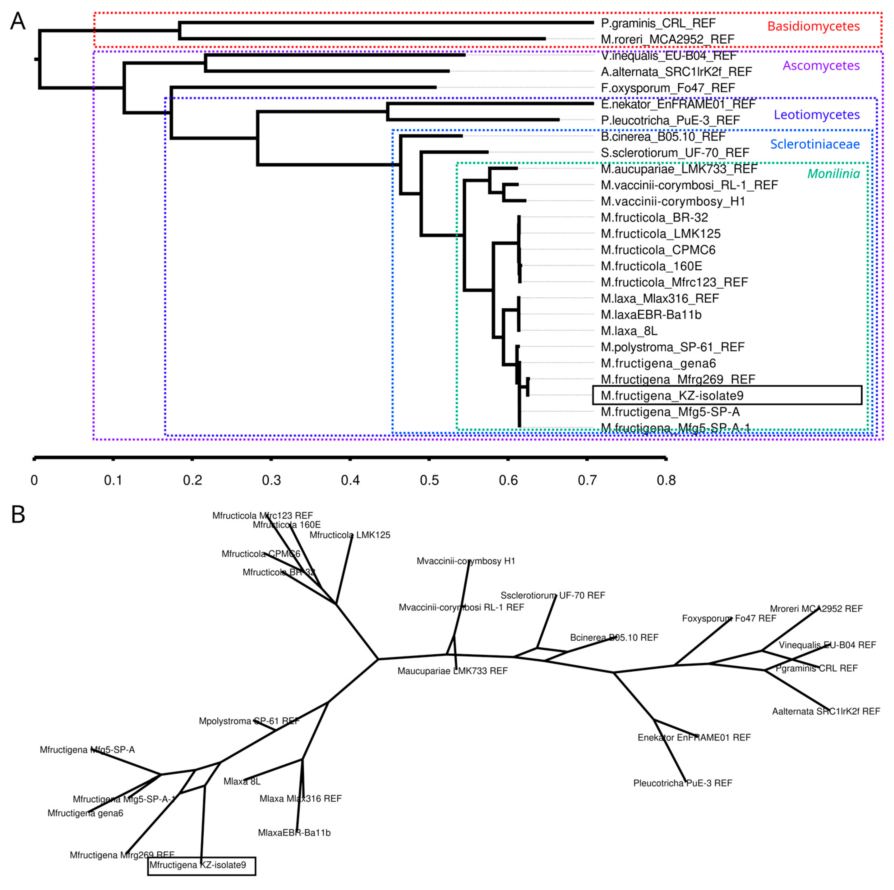 Horticulturae 11 01029 g005