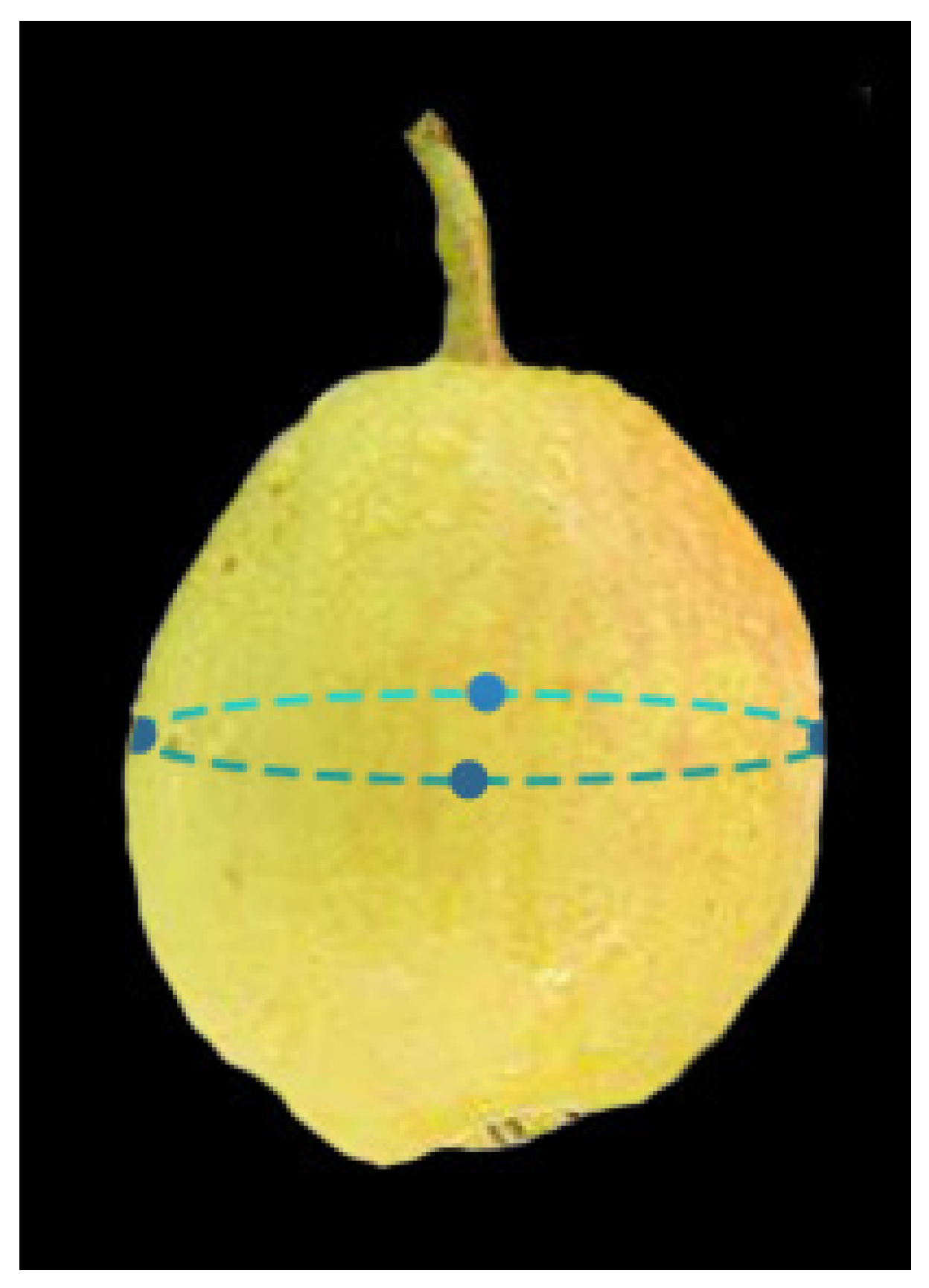 Horticulturae 11 01030 g003