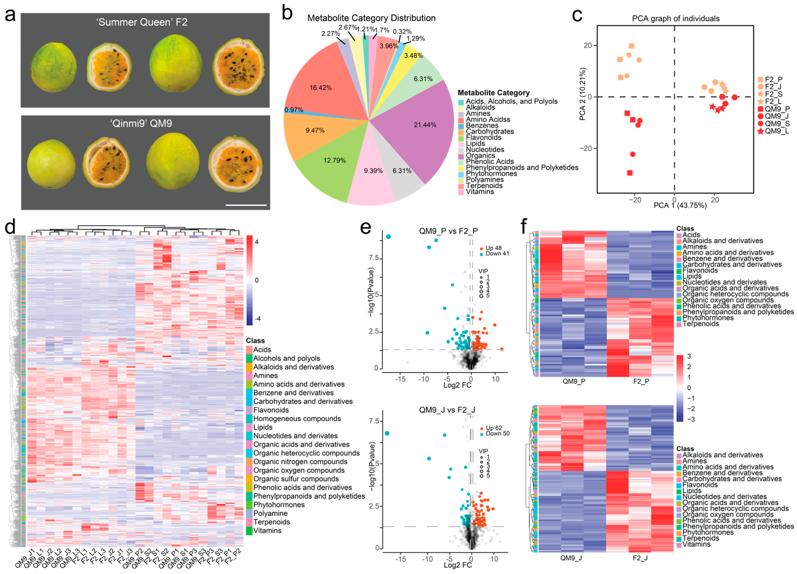 Horticulturae 11 01037 g002