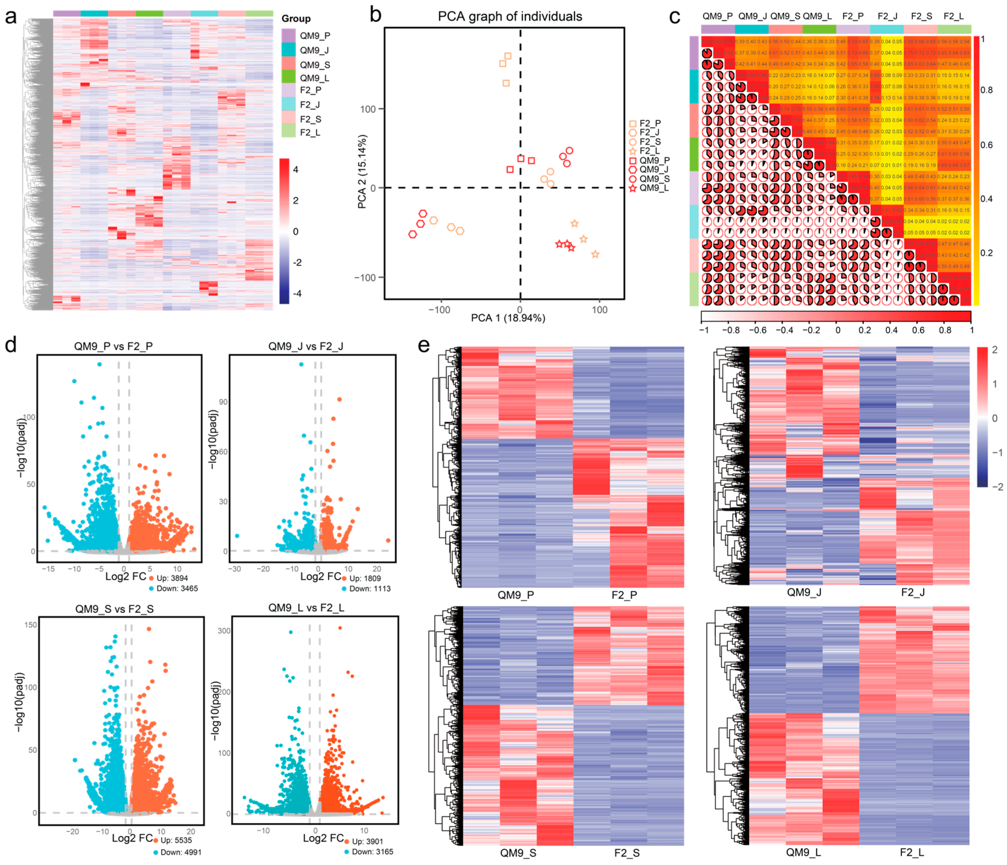 Horticulturae 11 01037 g004