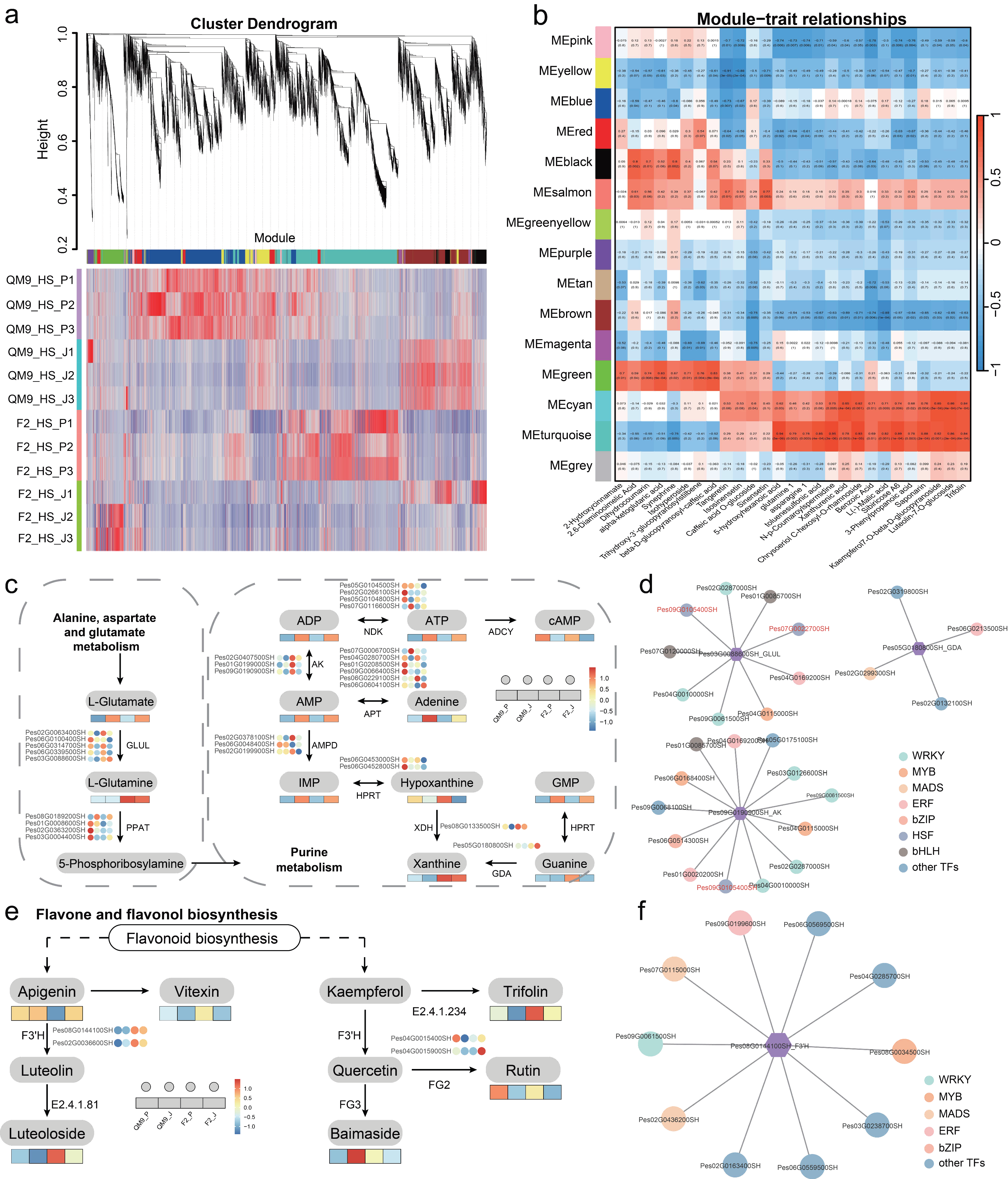 Horticulturae 11 01037 g005