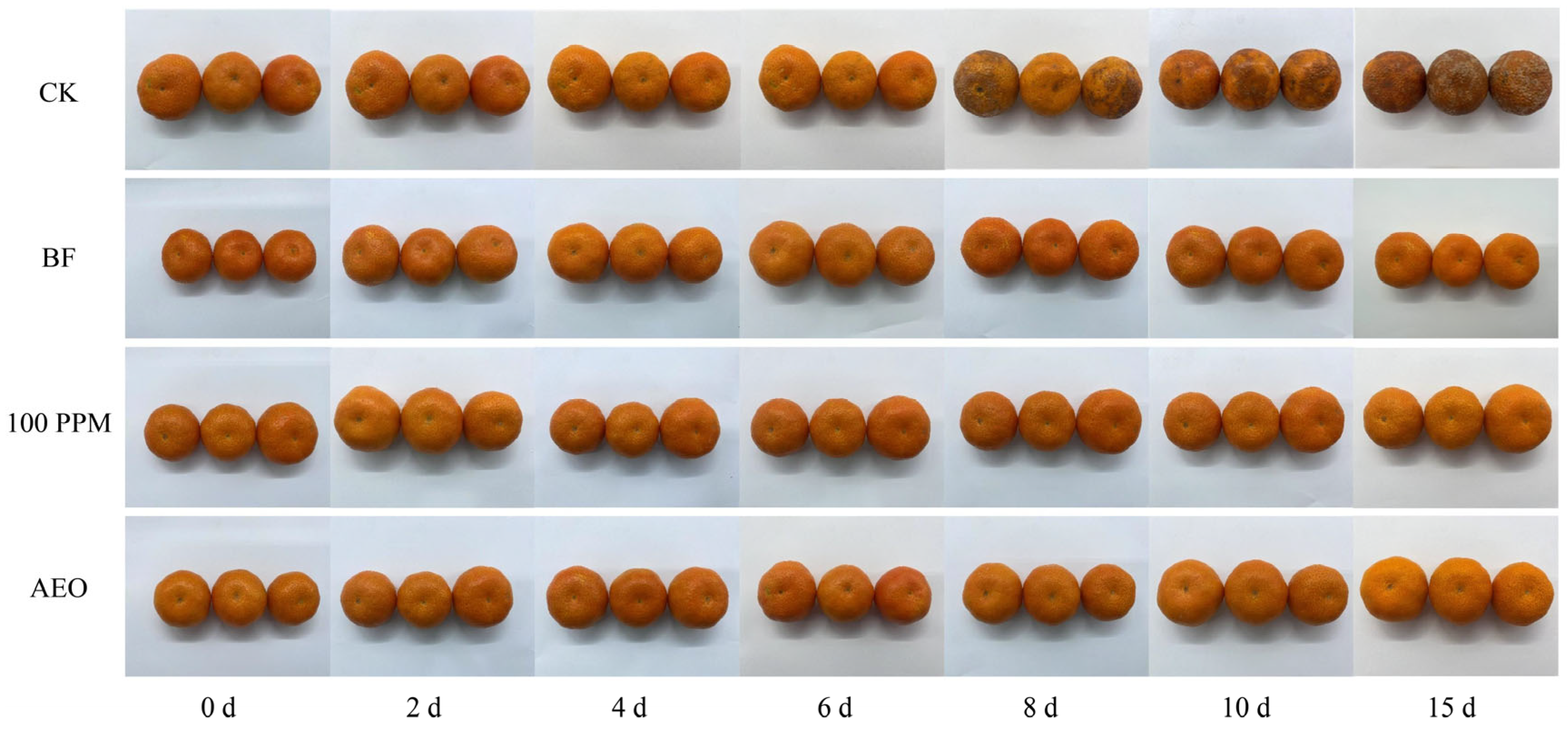 Horticulturae 11 01061 g005