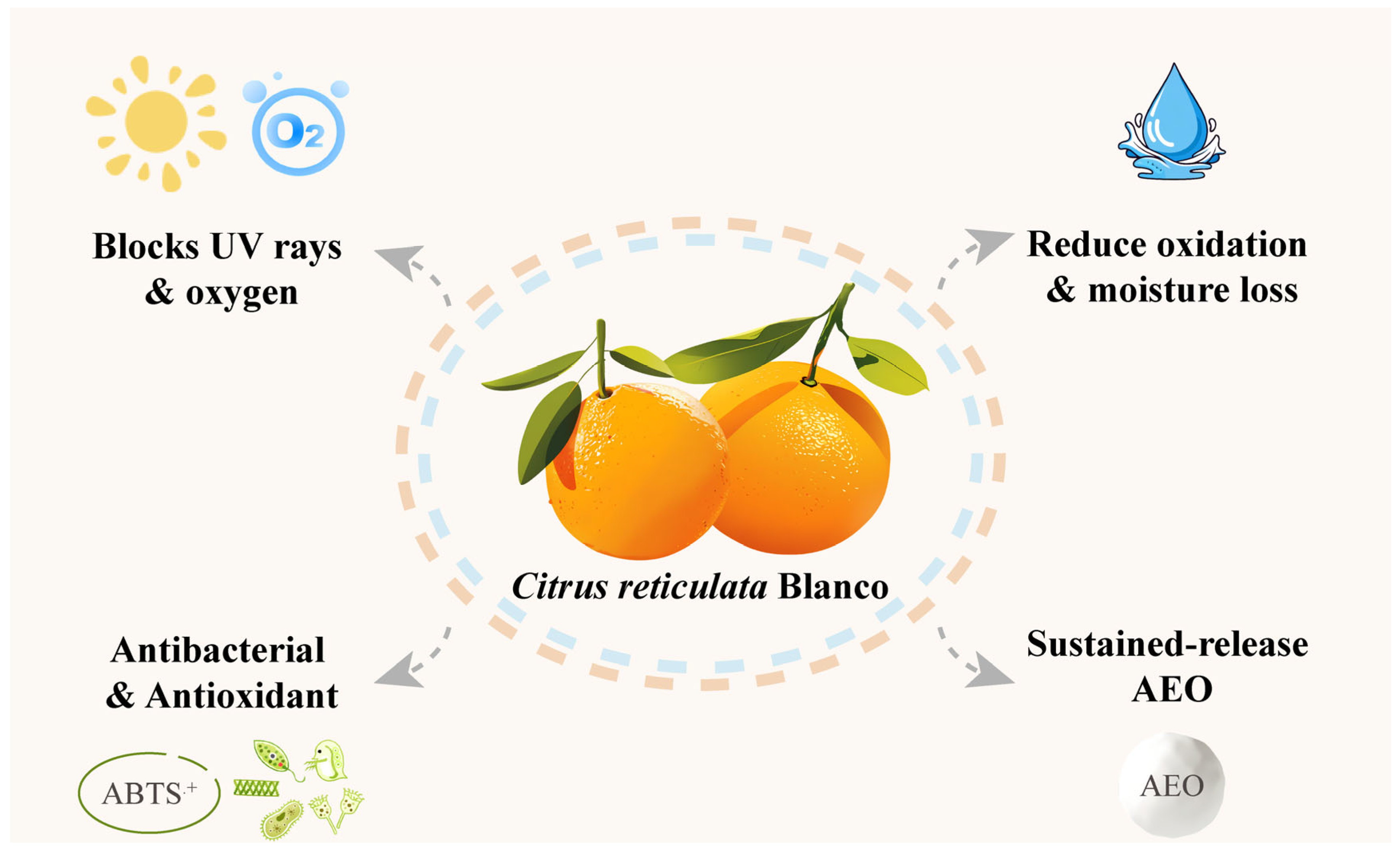 Horticulturae 11 01061 g007