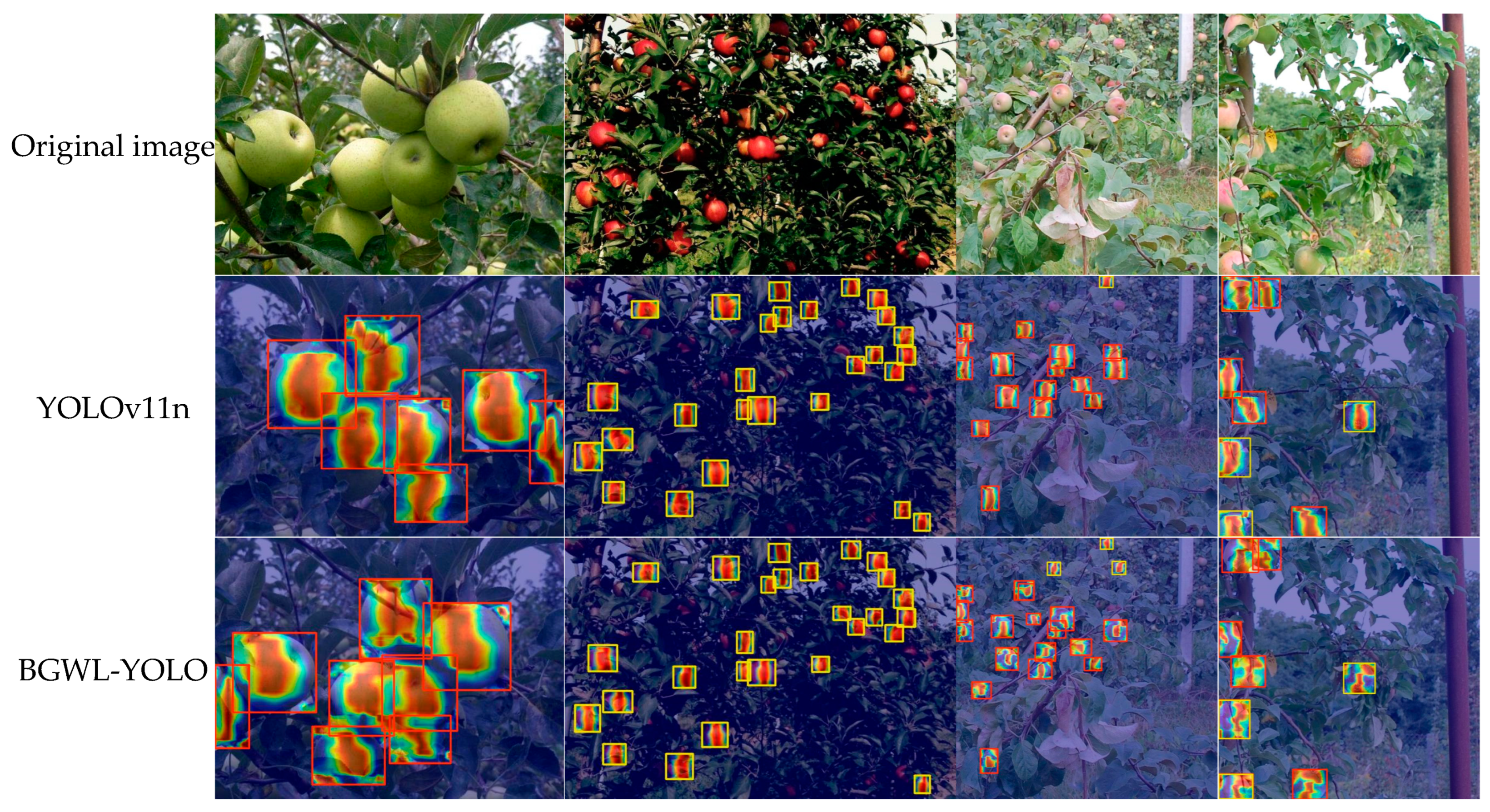 Horticulturae 11 01068 g009 Horticulturae 11 01068 g009